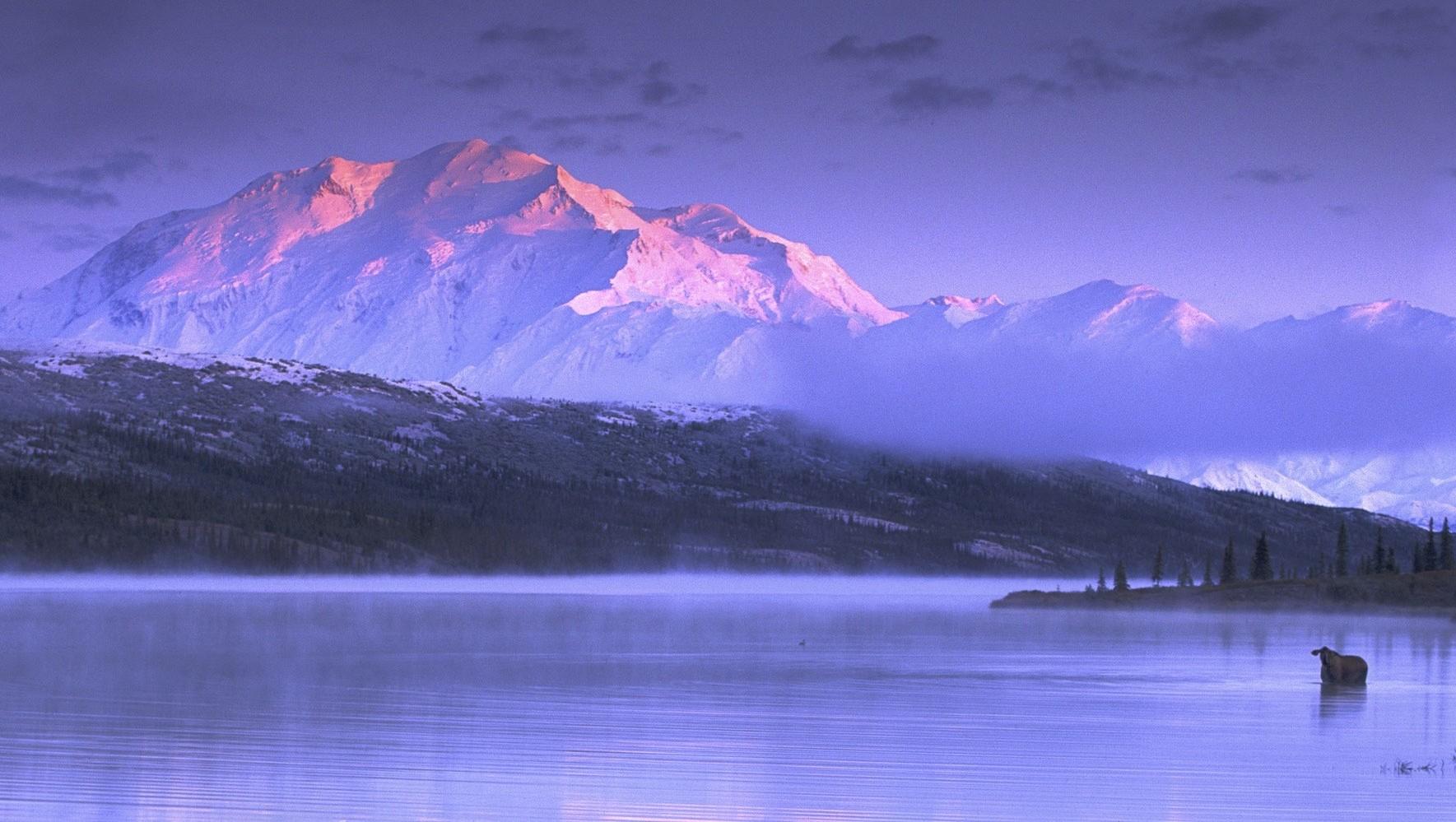 1769x999 nature, Landscape, Mountains, Snow, Lake, Sunset, Mist, Cold, Moose, Alaska Wallpaper HD / Desktop and Mobile Background