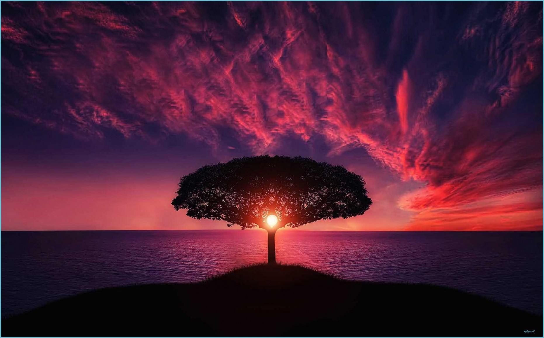1862x1159 HD Wallpaper