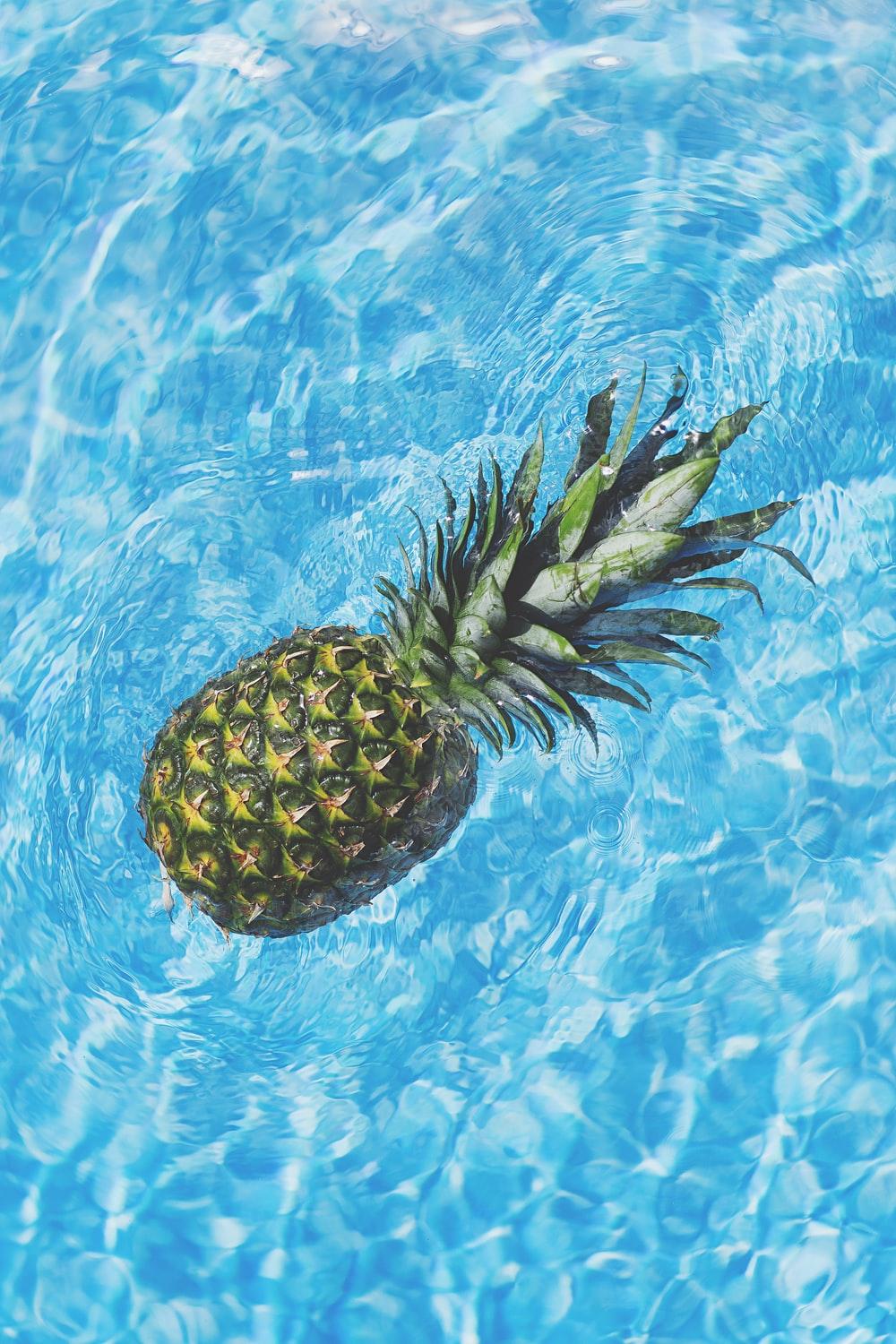 1000x1500 pineapple in water photo