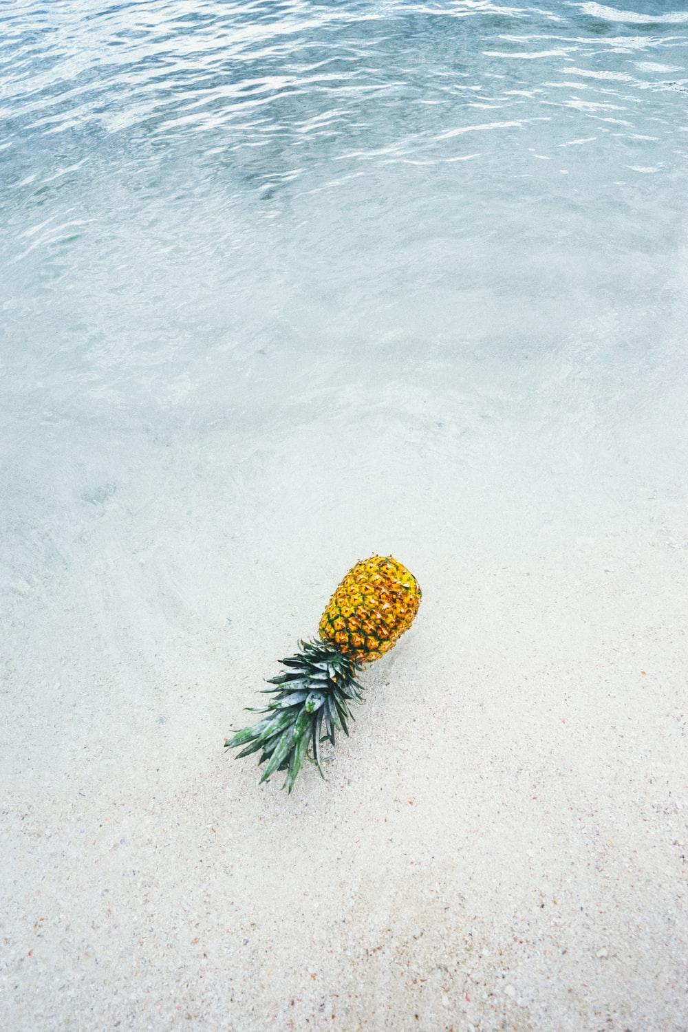 1000x1500 pineapple on seashore photo