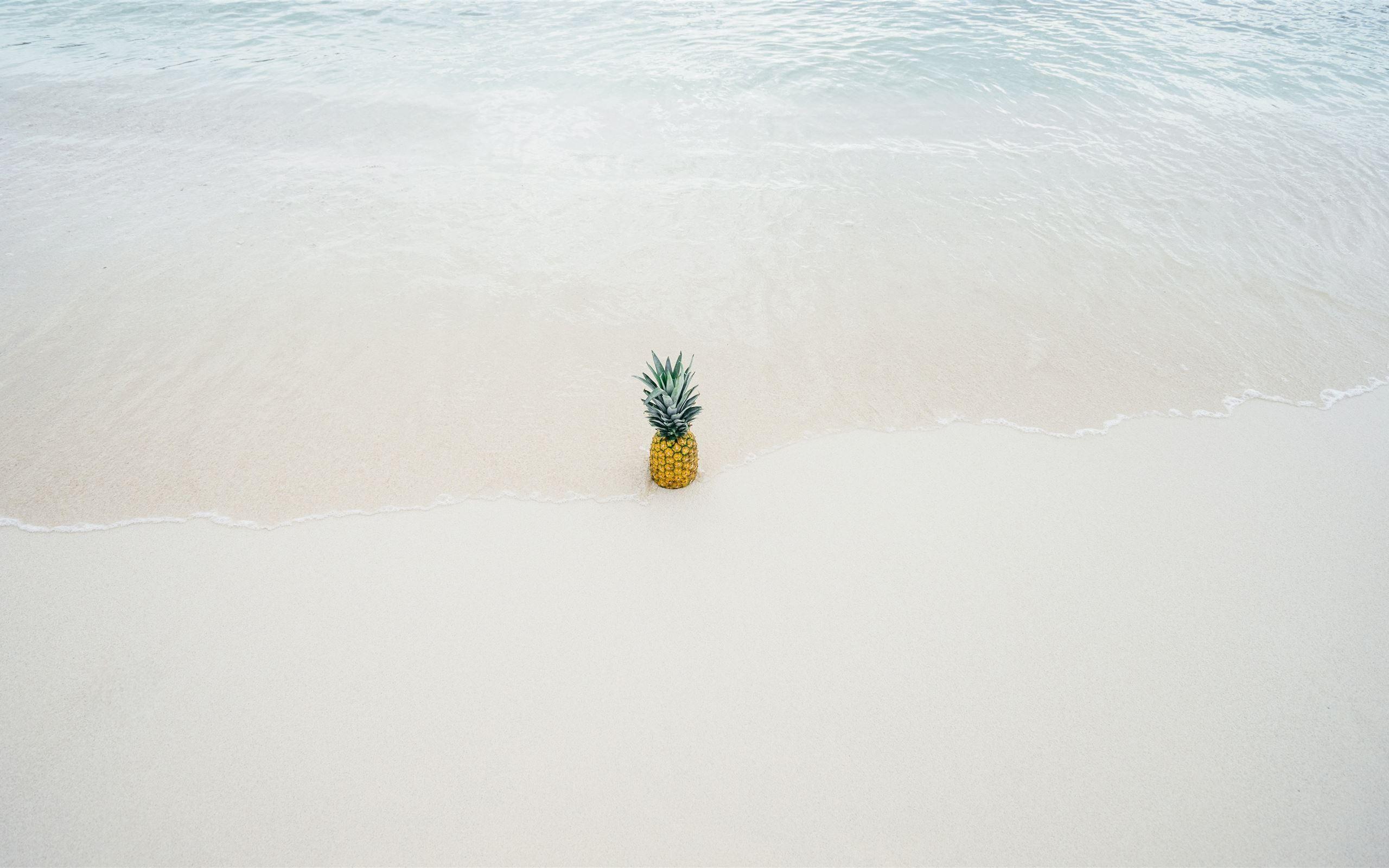 2560x1600 Best Pineapple Mac Wallpaper Free HD Download