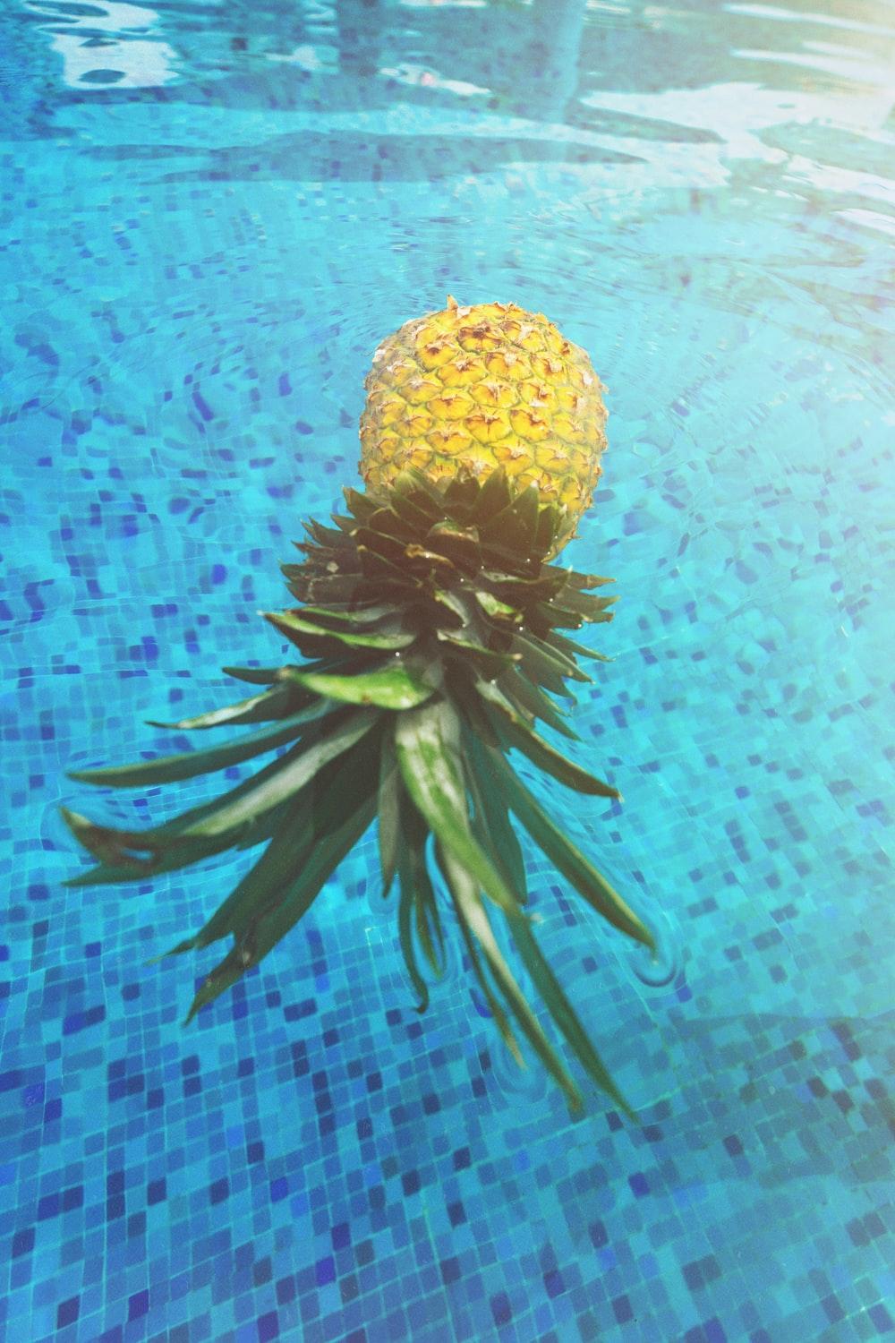 1000x1500 pineapple on pool photo