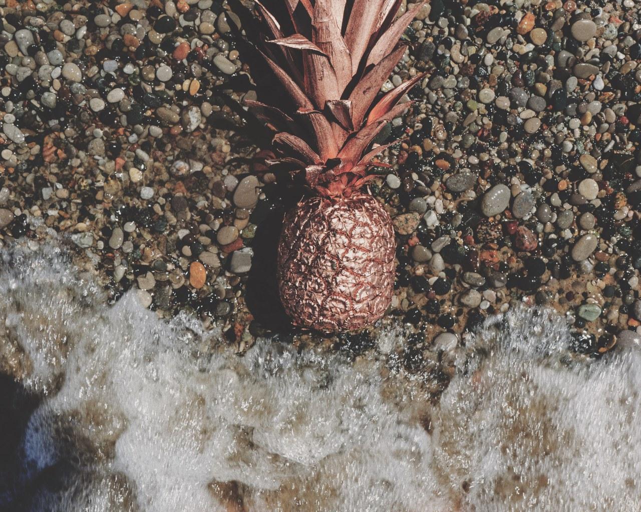 1280x1024 Pink pineapple on grey gravel near body of water • Wallpaper For You HD Wallpaper For Desktop & Mobile