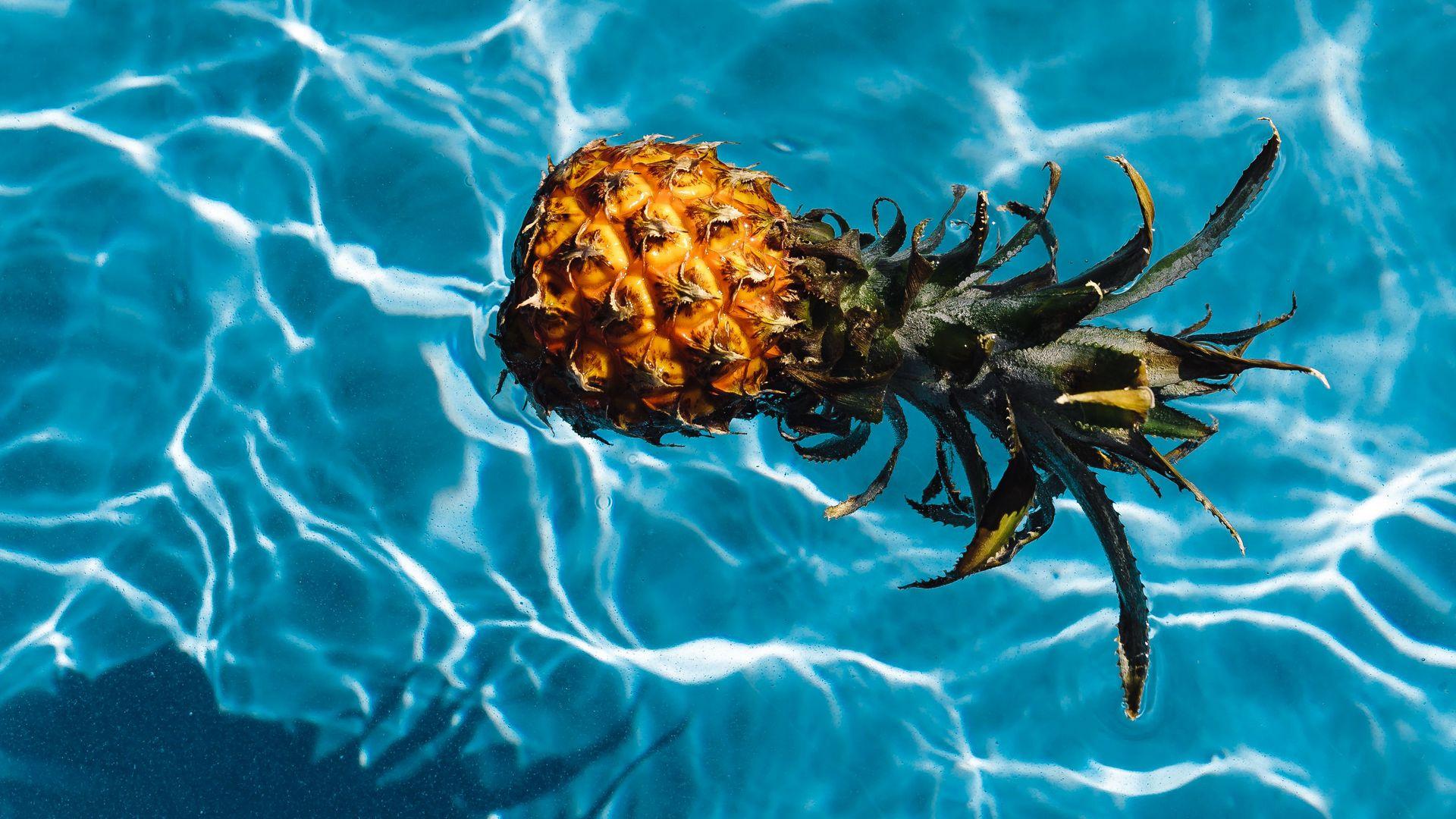 1920x1080 Pineapple, Tropics, Water HD Wallpaper Free Download