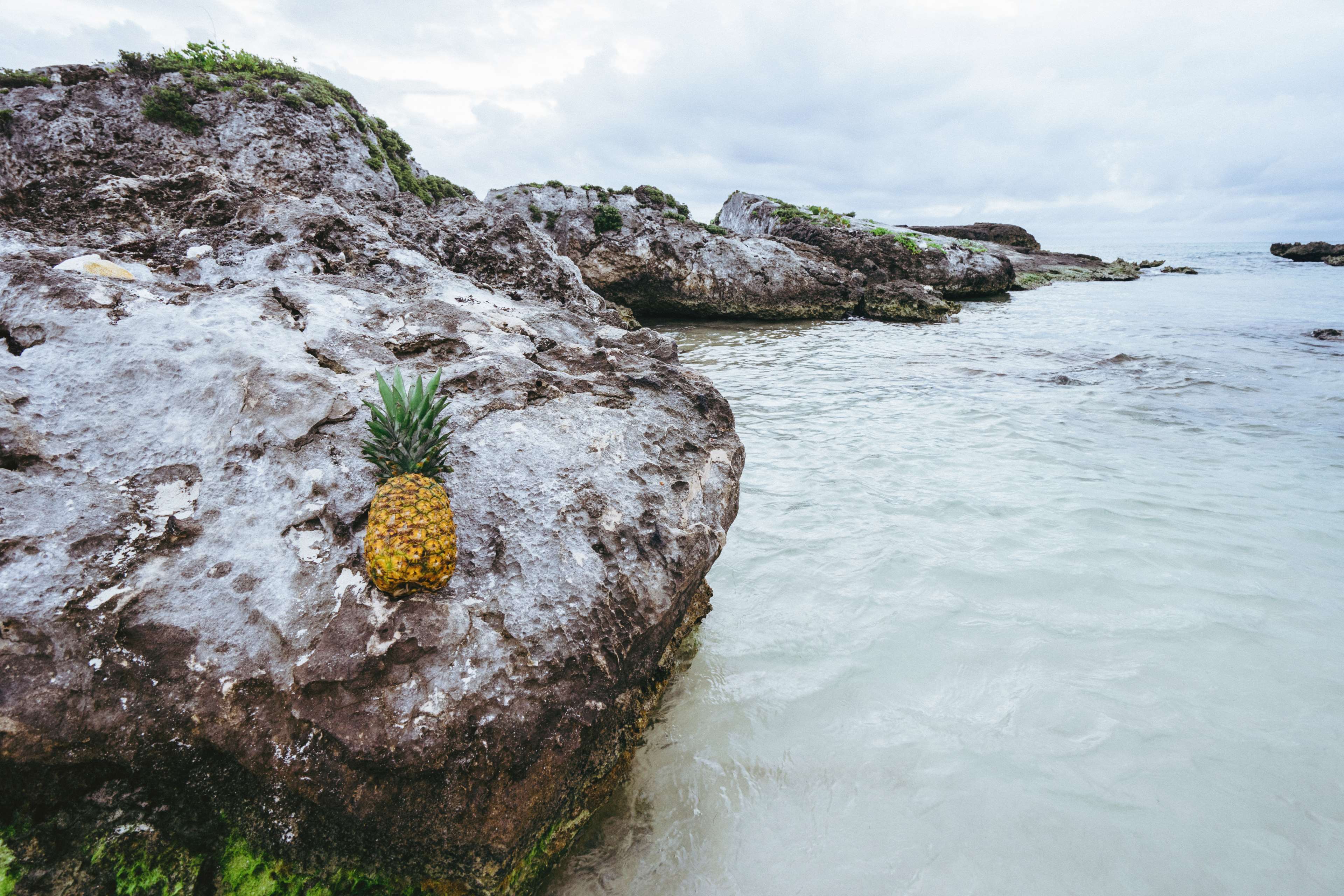 3840x2560 fruit, mexico, ocean, overcast, pineapple, resort, rock, rocks, summer, summer vibes, summertime, tropical, tropical fruit, water 4k wallpaper