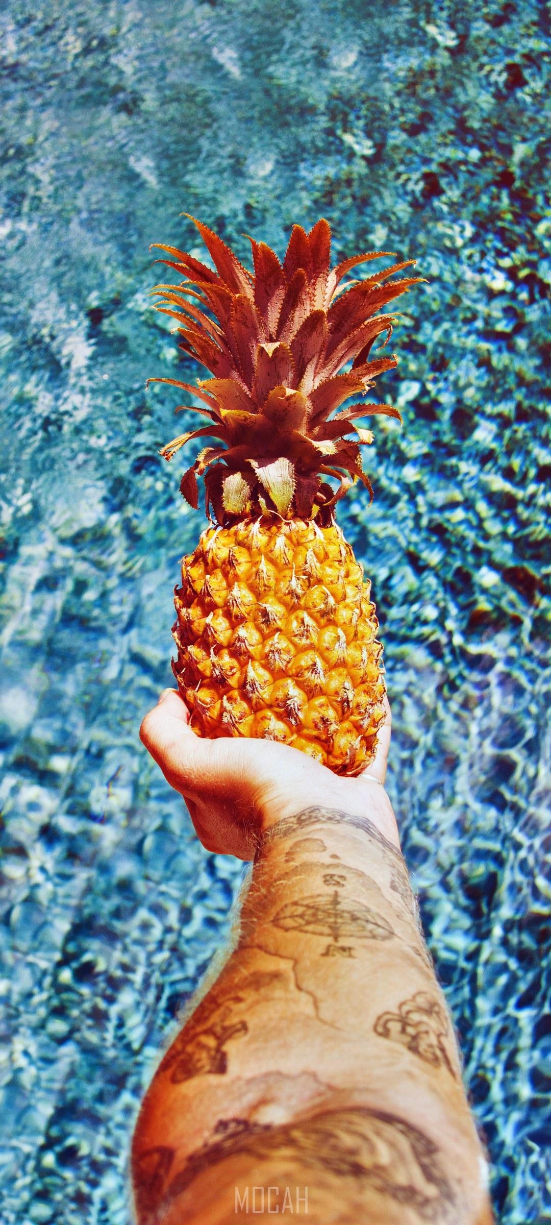 1080x2400 pineapple holding tattoo and arm hd, Realme 6 Pro wallpaper 1080p, 1080x2400. Mocah HD Wallpaper