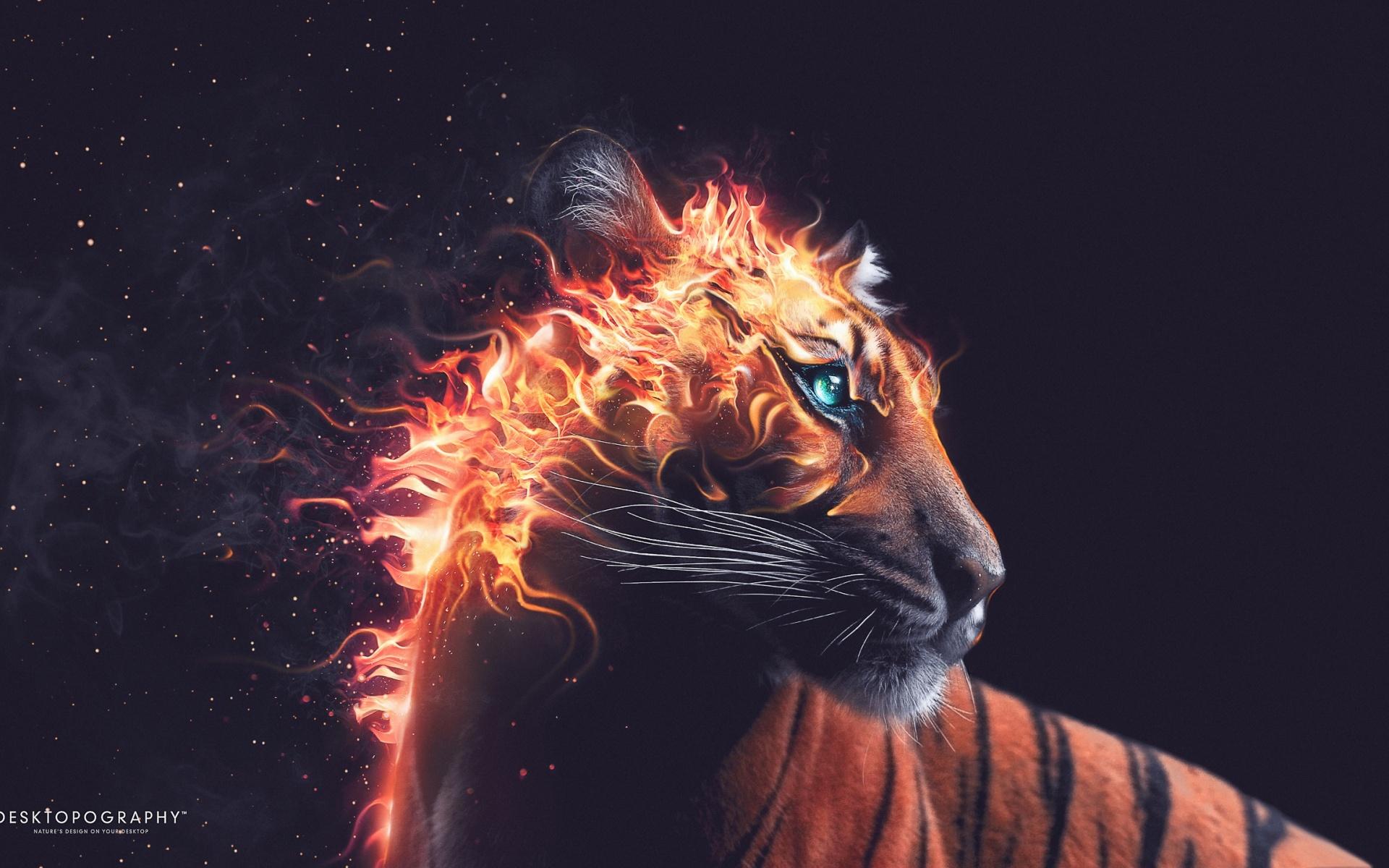 1920x1200 Tiger Fire Wallpaper
