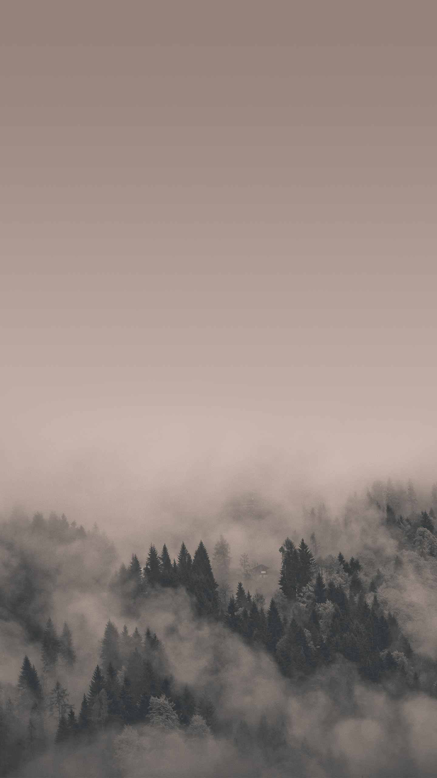 1440x2560 Clear Mostly Phone Specific Wallpaper