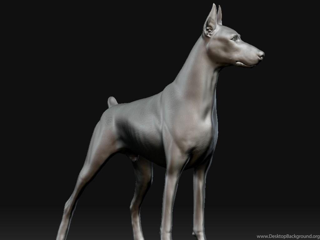 1024x768 Wallpaper Digital Free Doberman The 1024x768 Desktop Background