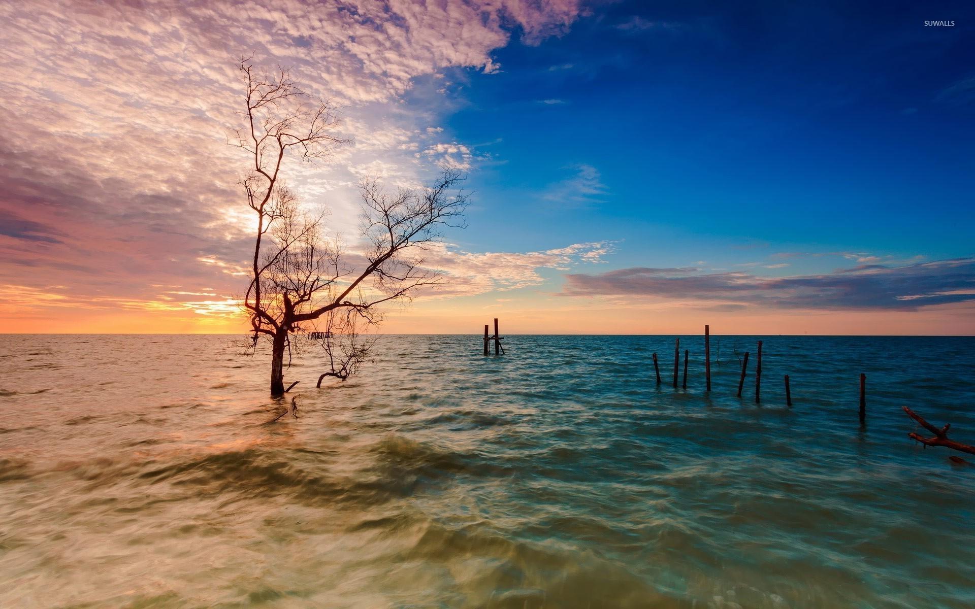 1920x1200 Penang, Malaysia wallpaper wallpaper