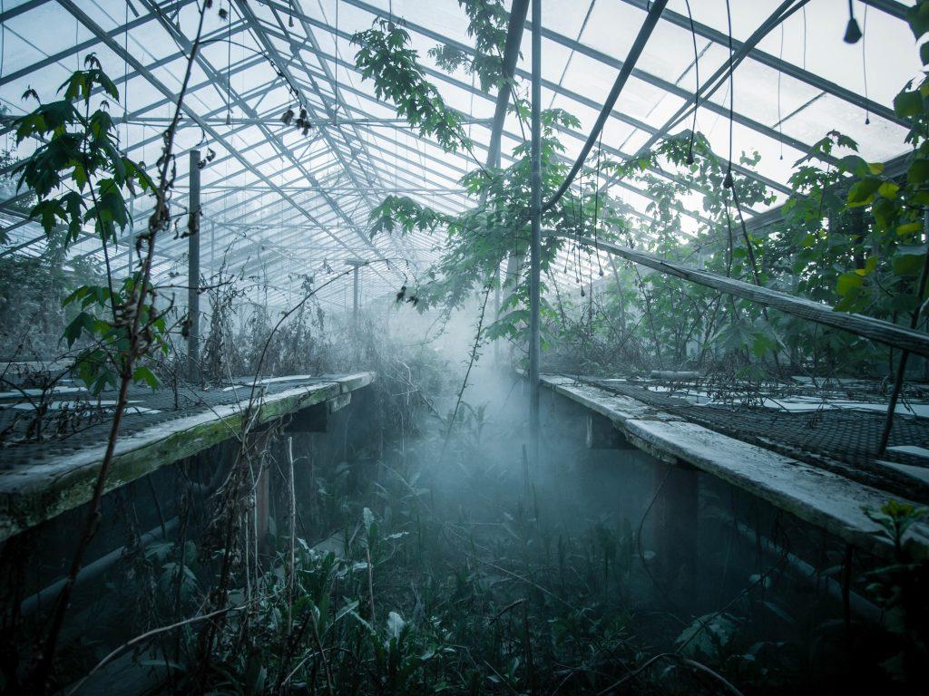 1024x768 When nature takes over: Overgrown America where nature has reclaimed its crown News Agency