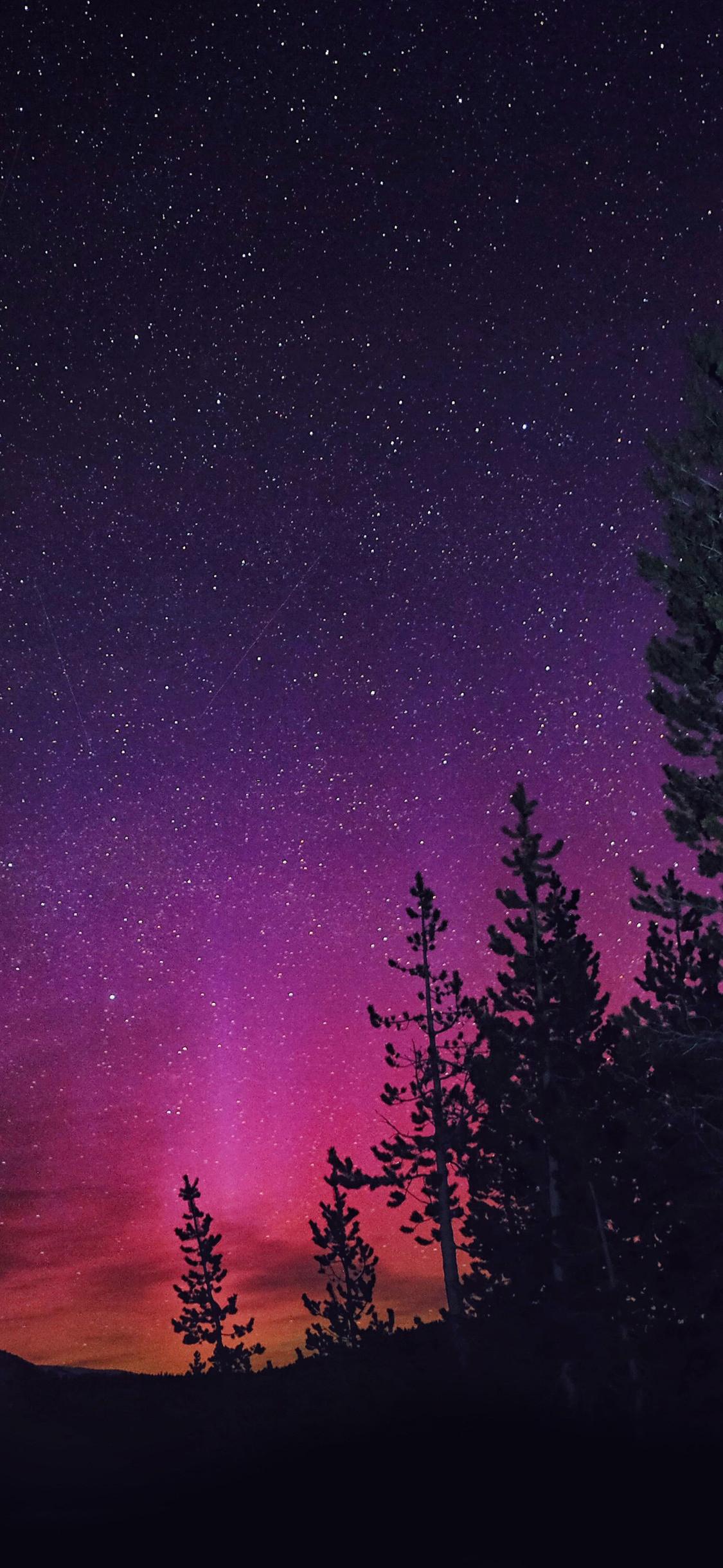 1125x2436 Northern Lights 4k Data Src Northern Lights Wallpaper Lights iPhone X