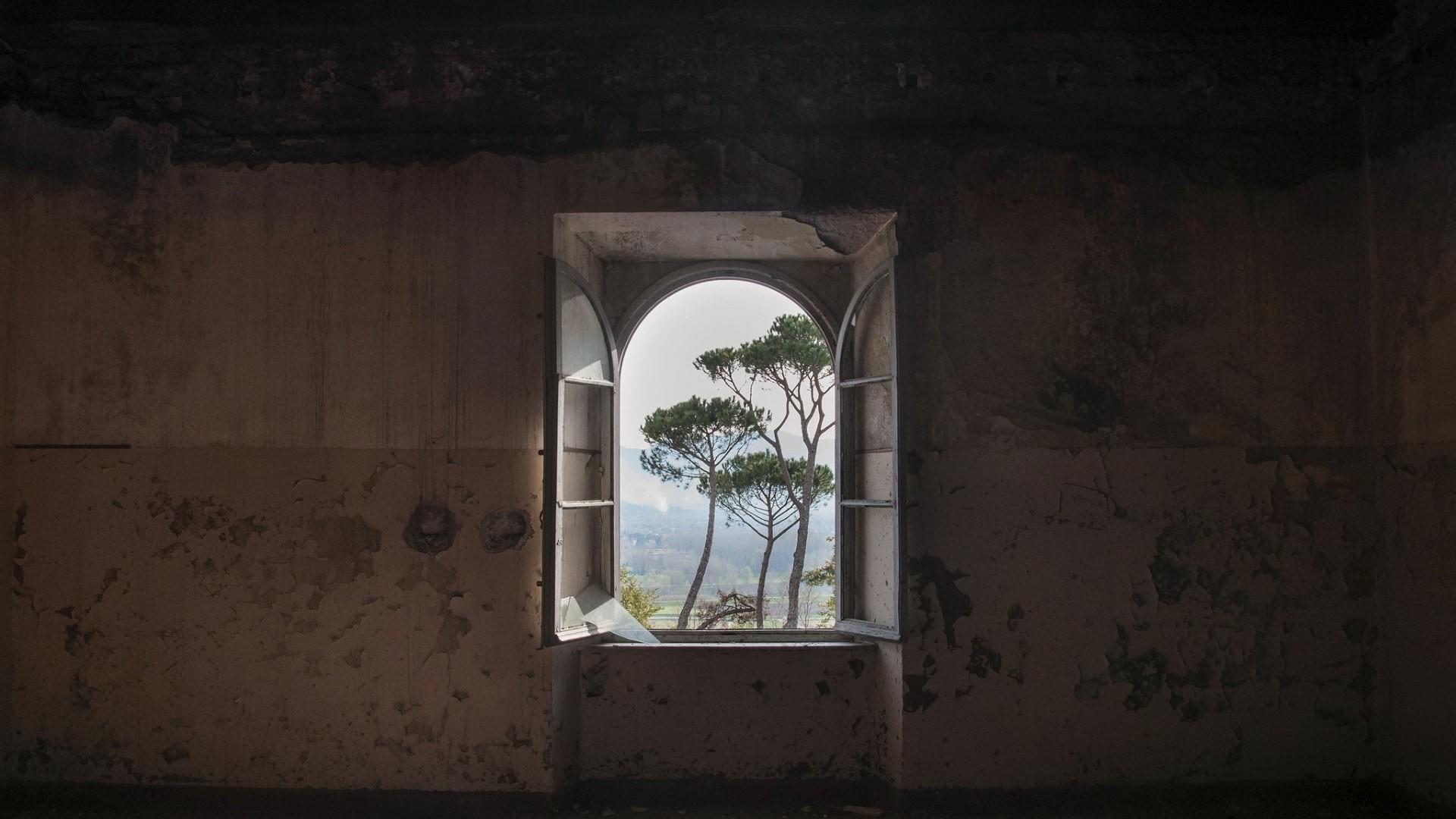 1920x1080 nature, Landscape, Trees, Interior, Building, Abandoned, Window, Sunlight, Broken Glass, Walls Wallpaper HD / Desktop and Mobile Background