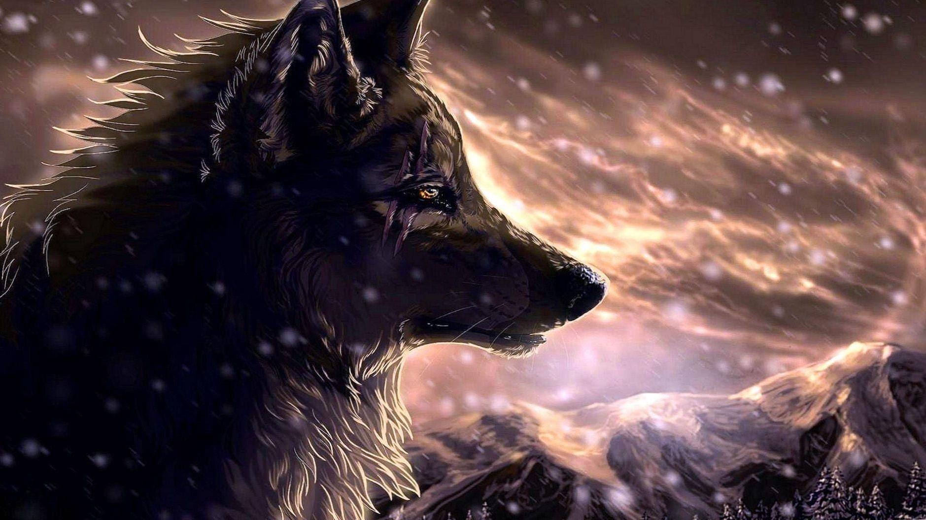 1879x1056 Black Anime Wolf Wallpaper, HD Black Anime Wolf Background on WallpaperBat