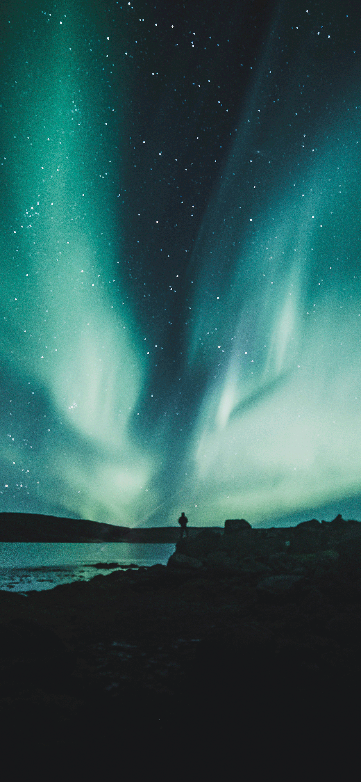1242x2688 Aurora borealis Wallpaper for iPhone Pro Max, X, 6