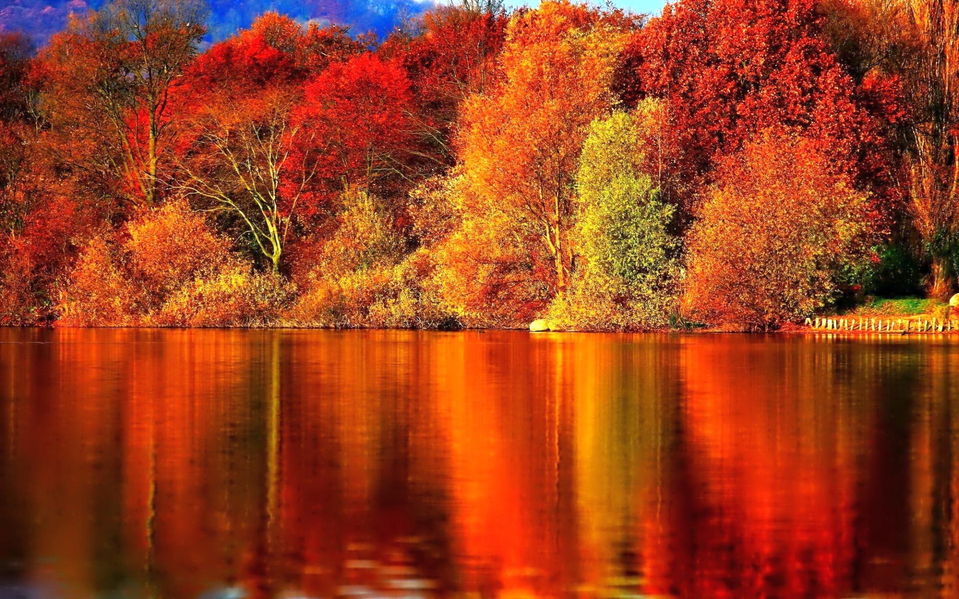 1920x1200 Download Free Autumn Wallpaper for Desktop