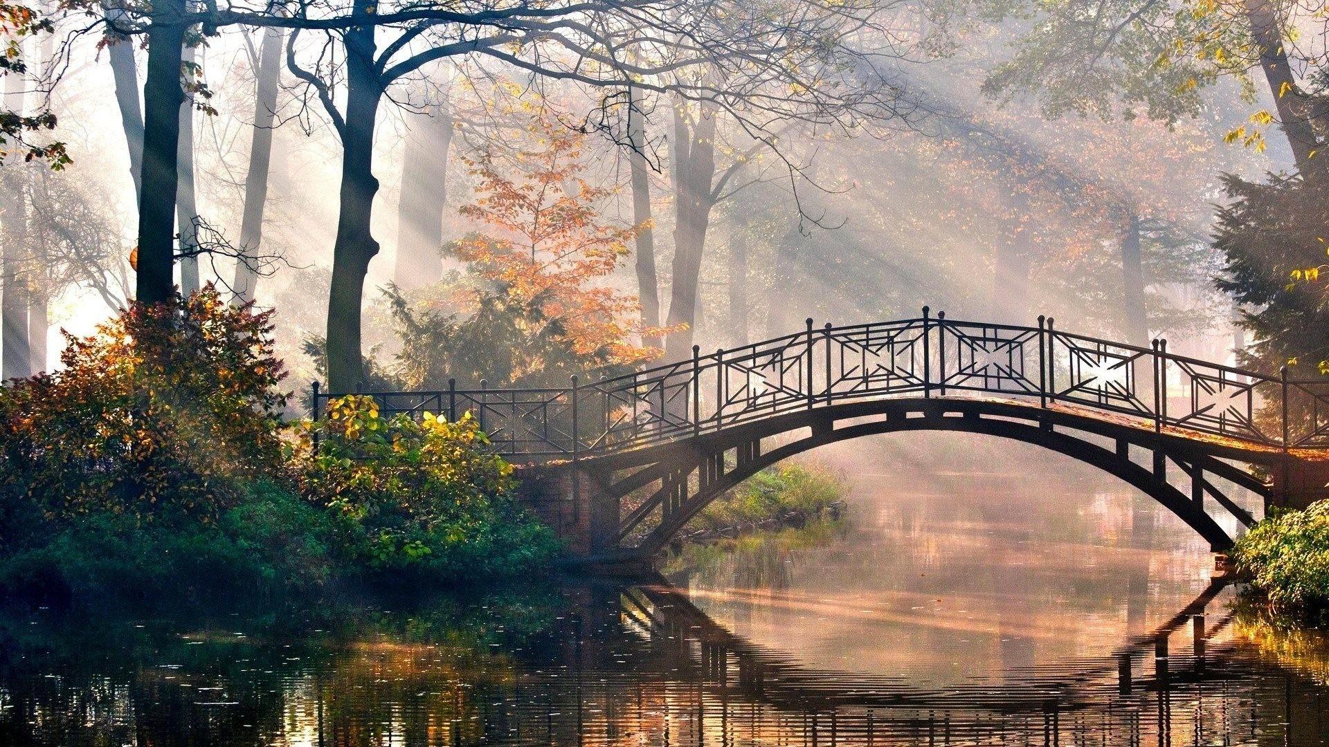 1920x1080 1920×1080 HD Autumn