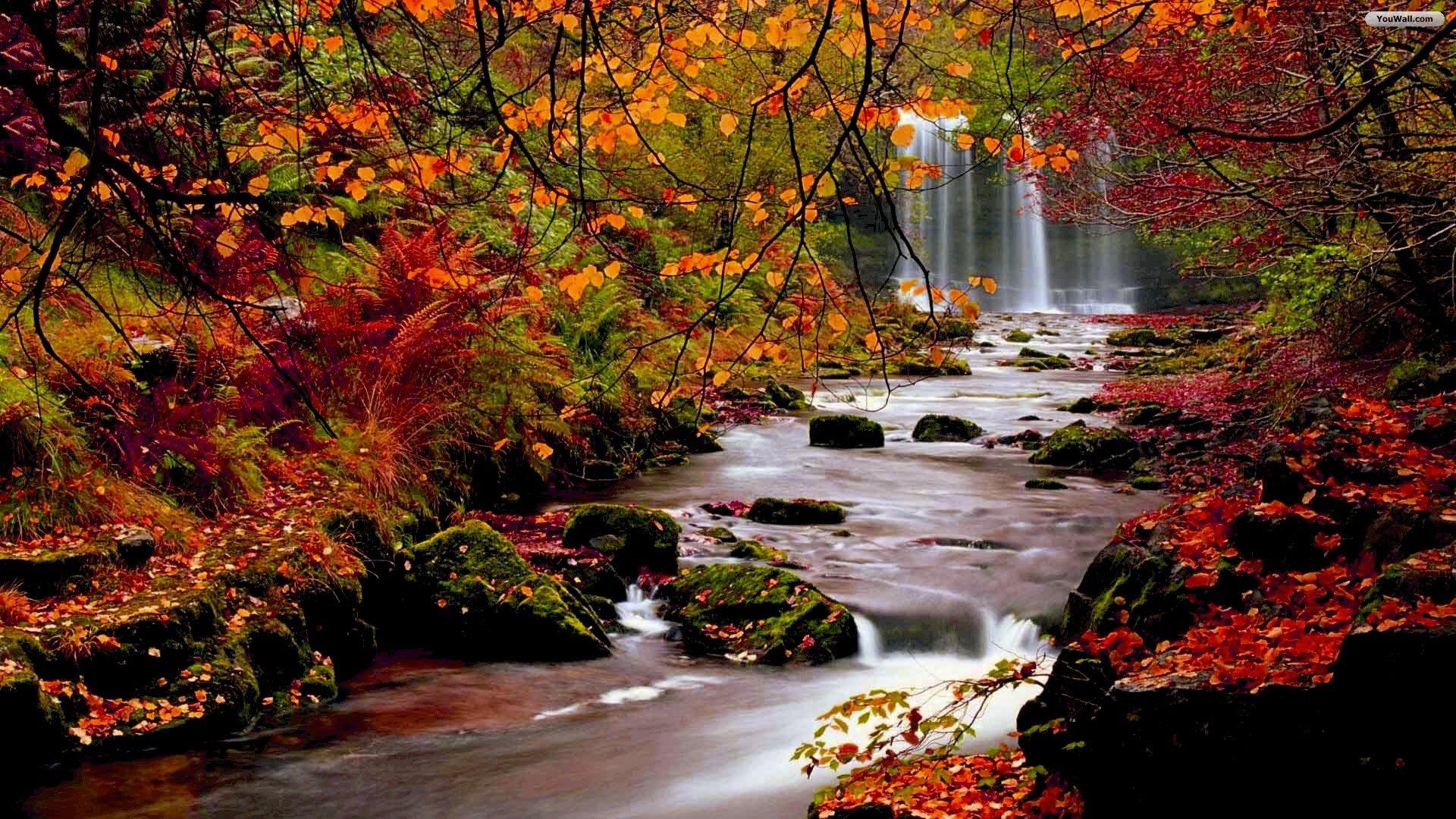 1920x1080 Free download Autumn Forest Waterfall Wallpaper wallpaperwallpaperfree [1920x1080] for your Desktop, Mobile & Tablet. Explore Autumn Waterfall Free Wallpaper. Free Pumpkin Wallpaper, Free Fall Wallpaper For Desktop, Free Thanksgiving Wallpaper