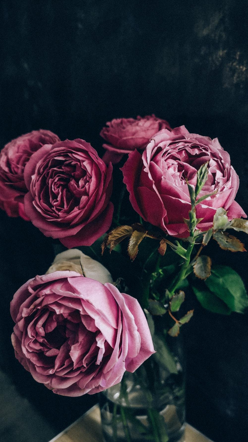 1000x1778 Vintage Flowers Picture. Download Free Image