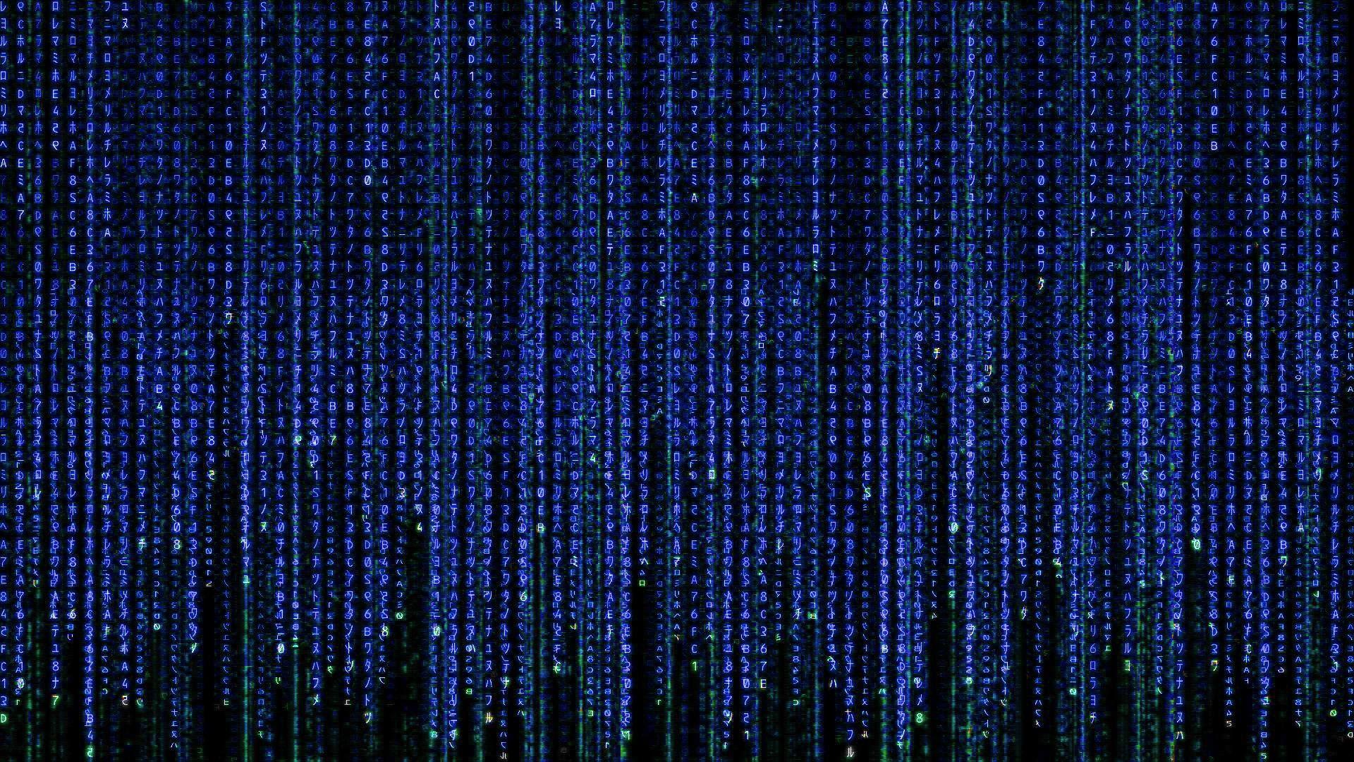 4K Moving Matrix Background. Binary code black and green background, Stock  Video - Envato Elements