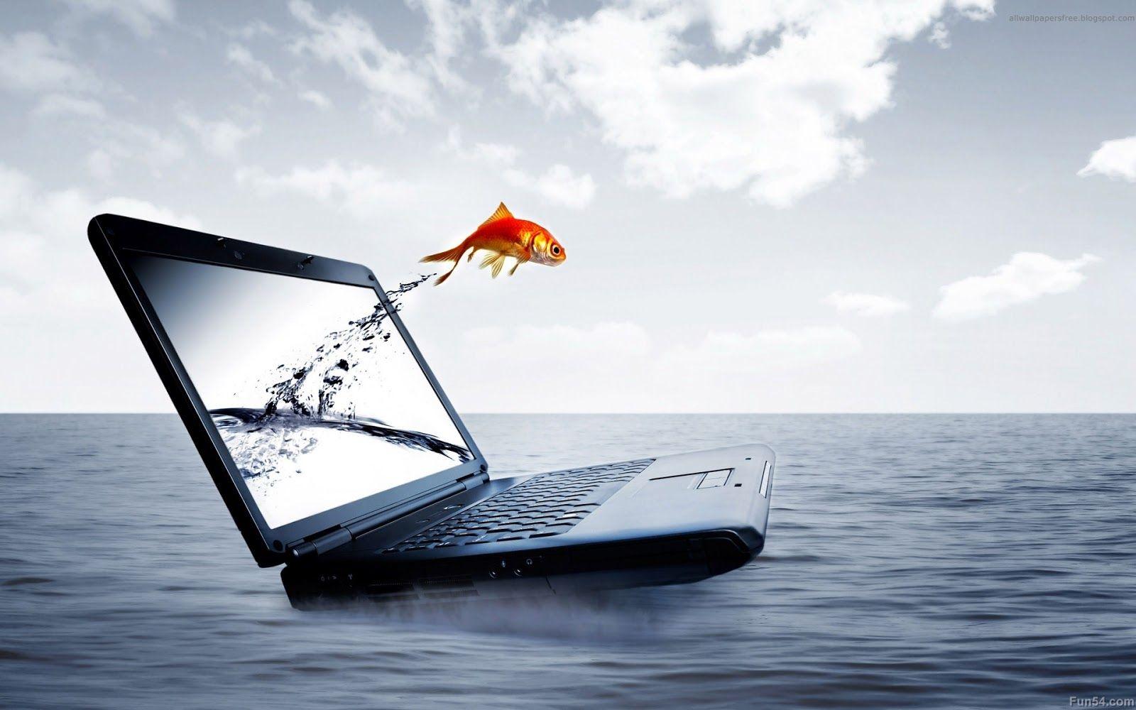 1600x1000 Laptop Desktop Wallpaper HD