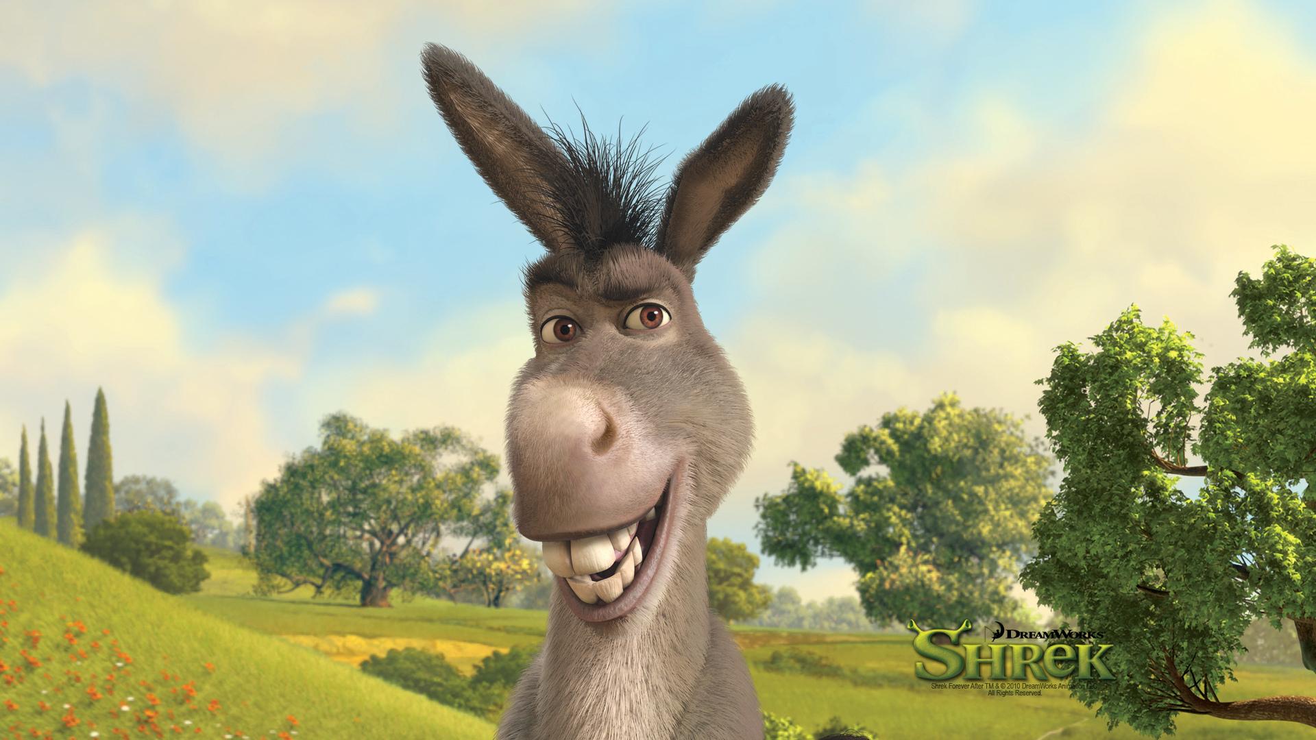 1920x1080 Shrek Donkey Wallpaper 51305 1920x1080px