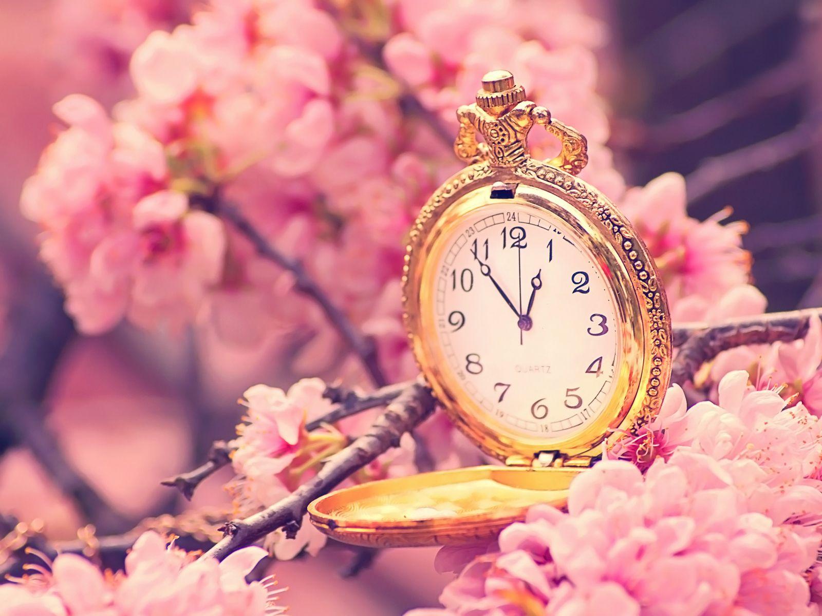 1600x1200 Beautiful Flower Wallpaper For You. Spring wallpaper, Cherry blossom wallpaper, Clock