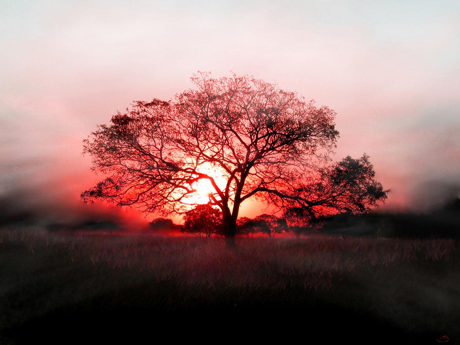 1600x1200 Red sunset wallpaper. Red sunset