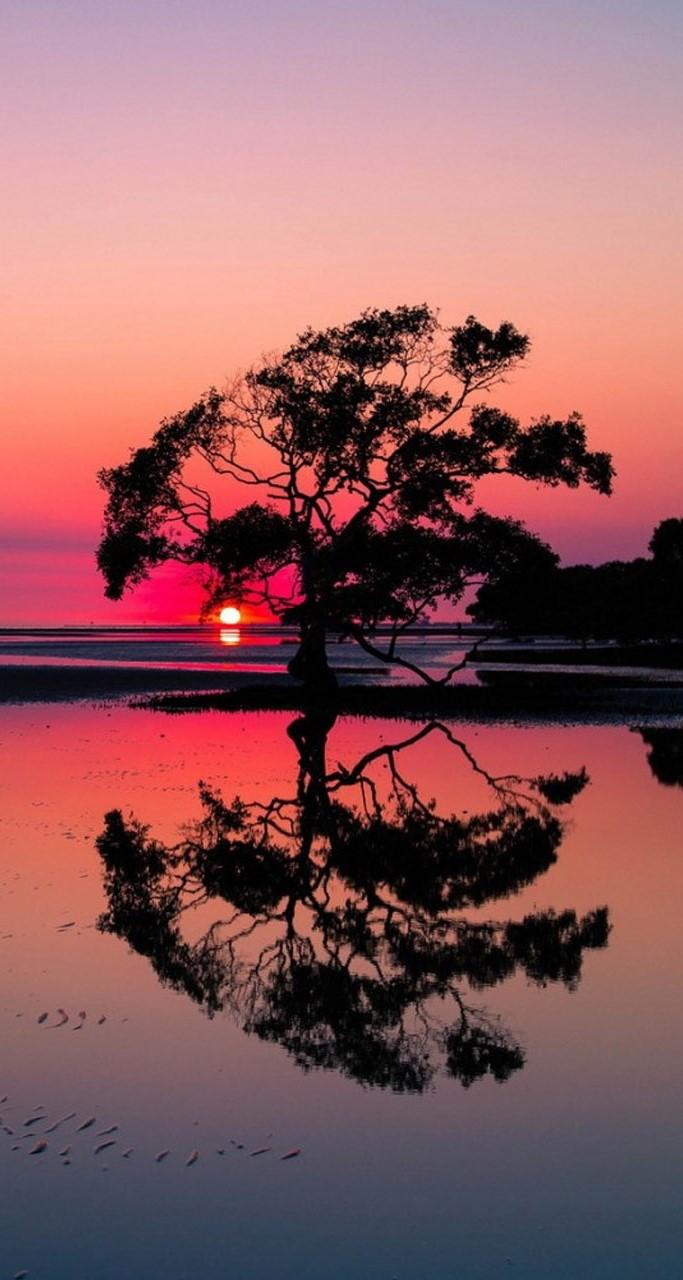 Beautiful Red Sunset Wallpapers Top Free Beautiful Red Sunset