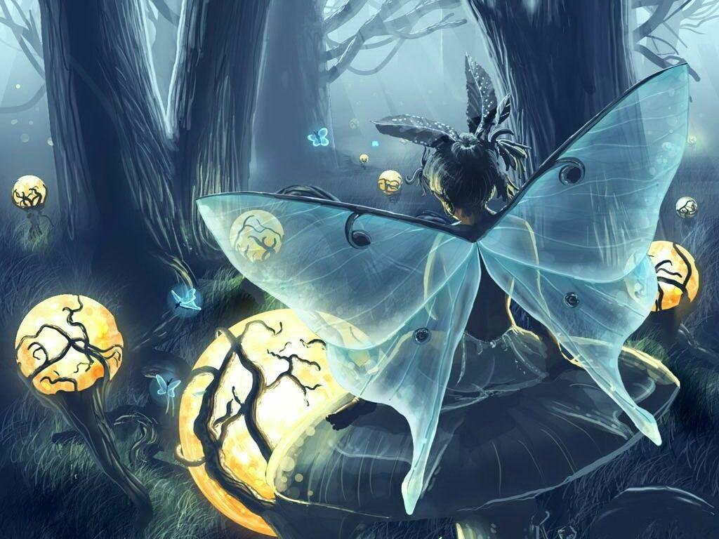 1024x768 Butterfly Fairy Wallpaper: HD, 4K, 5K for PC and Mobile. Download free image for iPhone, Android
