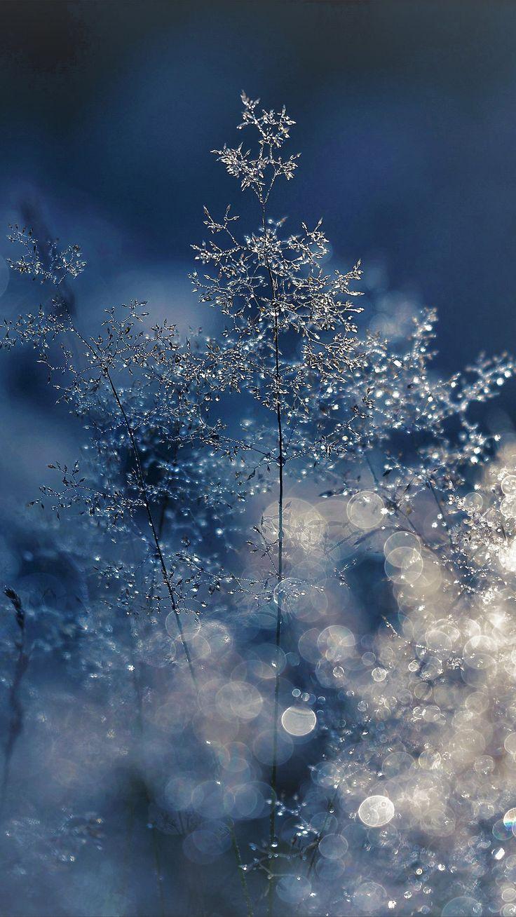 736x1308 iPhone Wallpaper Pretty Winter. ipcwallpaper. iPhone wallpaper winter, Snow wallpaper iphone, Anime wallpaper phone