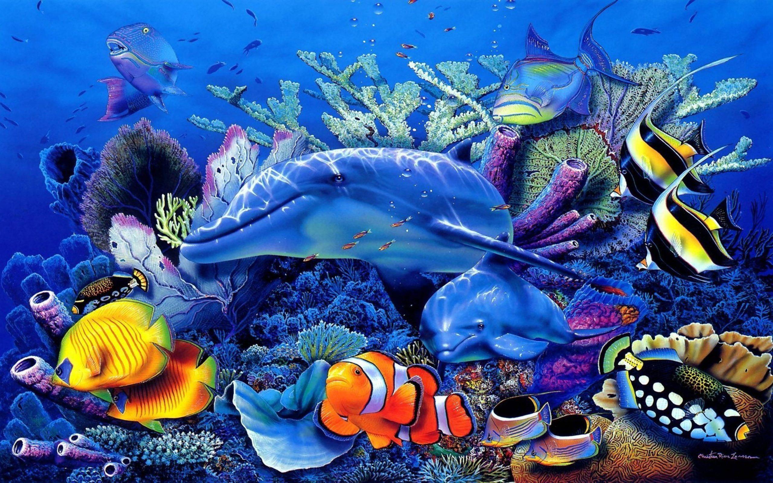 2560x1600 Ocean Underwater World Dolphin Coral Exotic Tropical Fish wallpaper, Wallpaper For Cell Phone And Laptop • Wallpaper For You HD Wallpaper For Desktop & Mobile