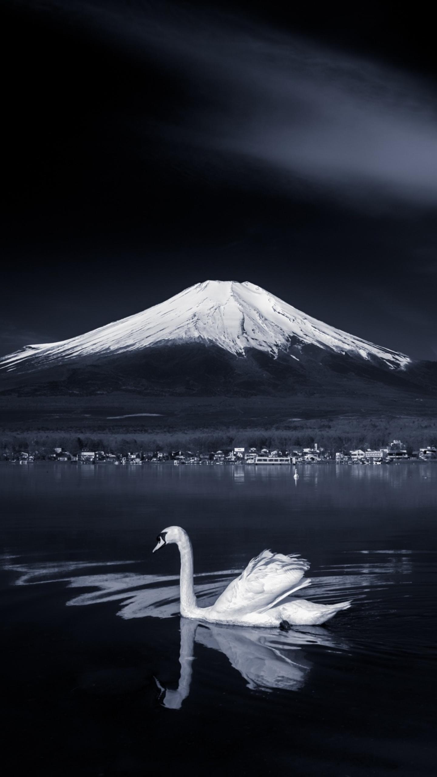 1440x2560 Fujiyama Japan Samsung Galaxy S S Google Pixel XL , Nexus 6P , LG G5 Wallpaper, HD Nature 4K Wallpaper, Image, Photo and Background