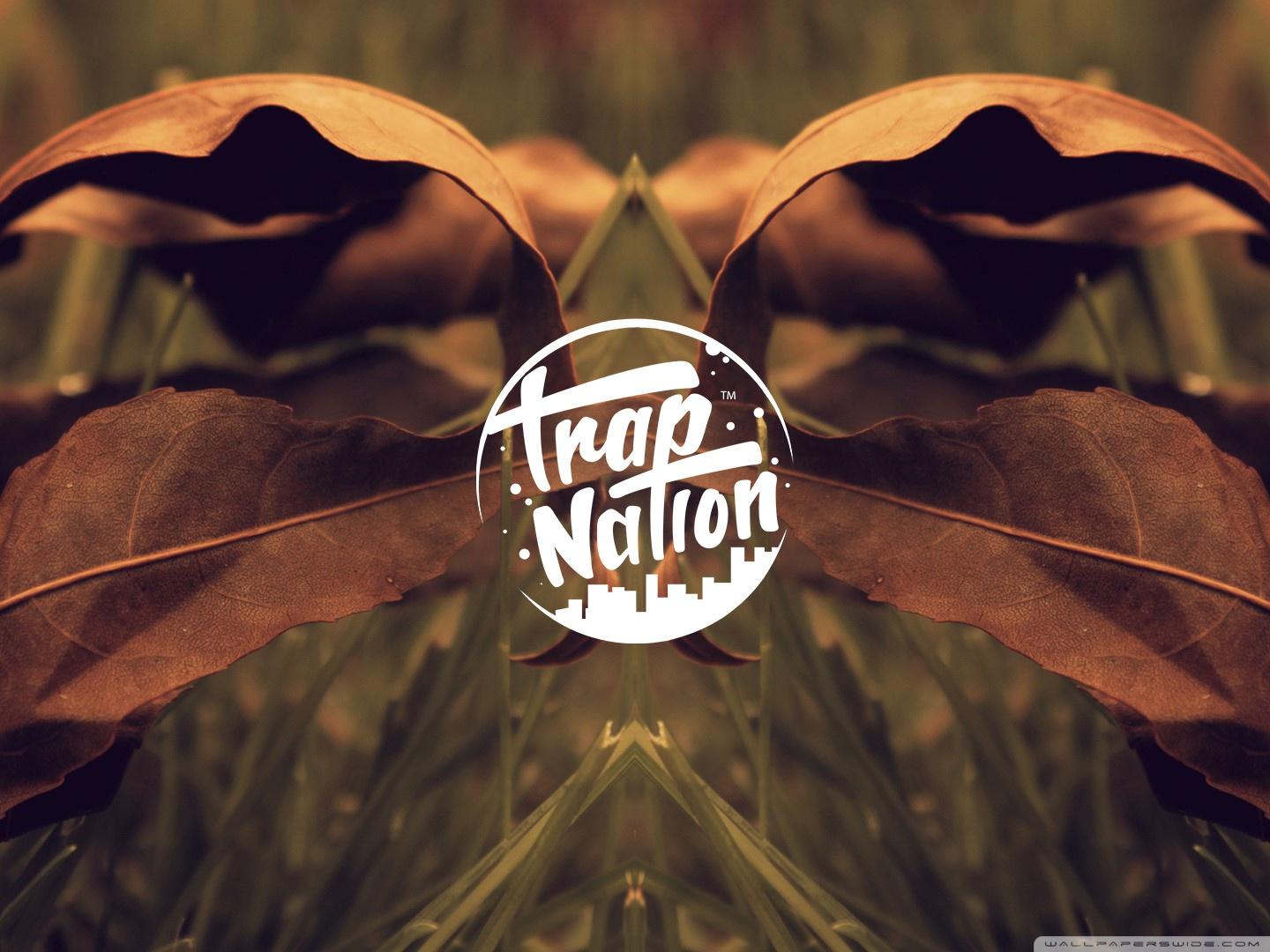 1440x1080 TrapNation Ultra HD Desktop Background Wallpaper for 4K UHD TV : Widescreen & UltraWide Desktop & Laptop : Tablet