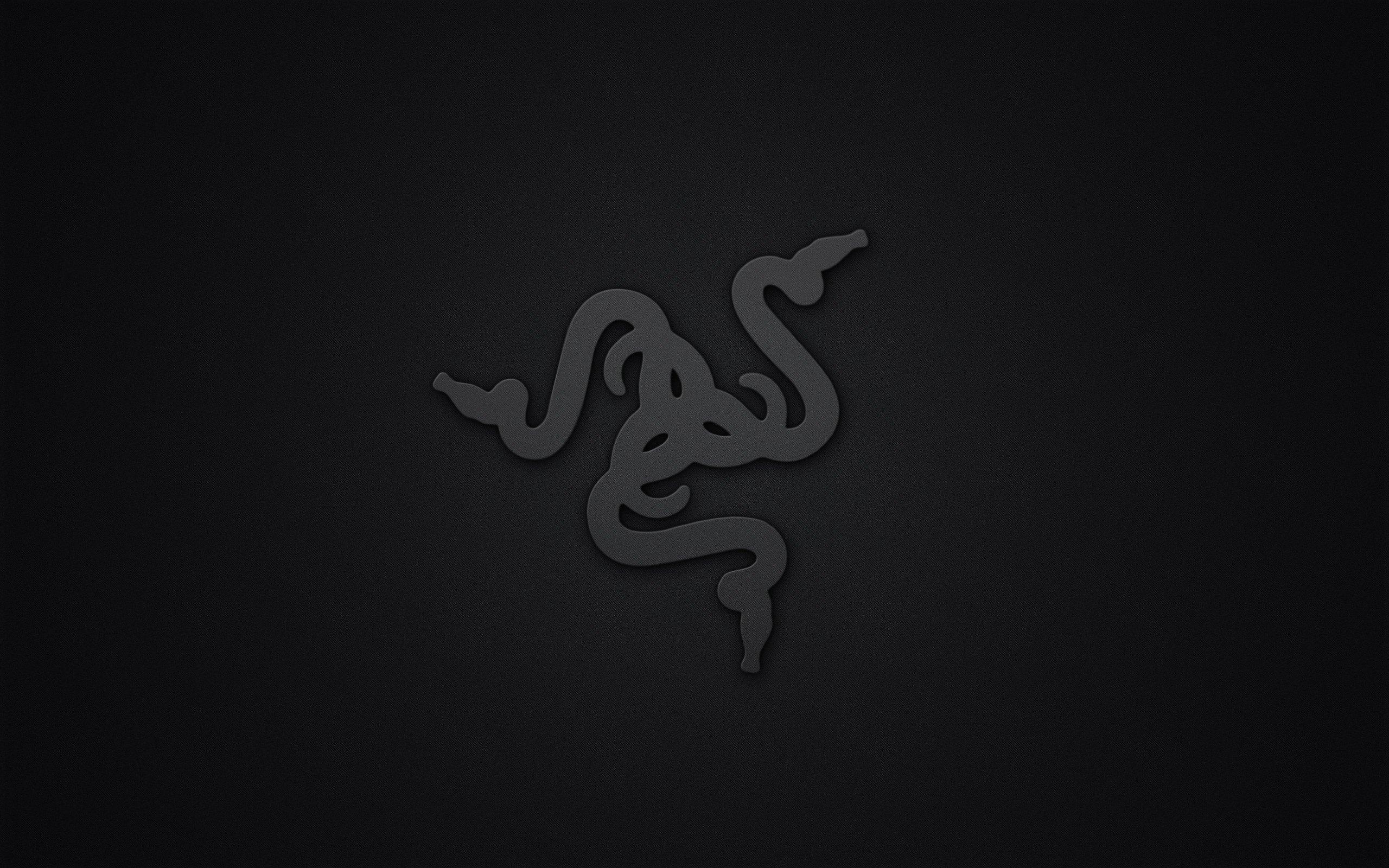 2560x1600 razer, Gaming, Computer, Game Wallpaper HD / Desktop and Mobile Background