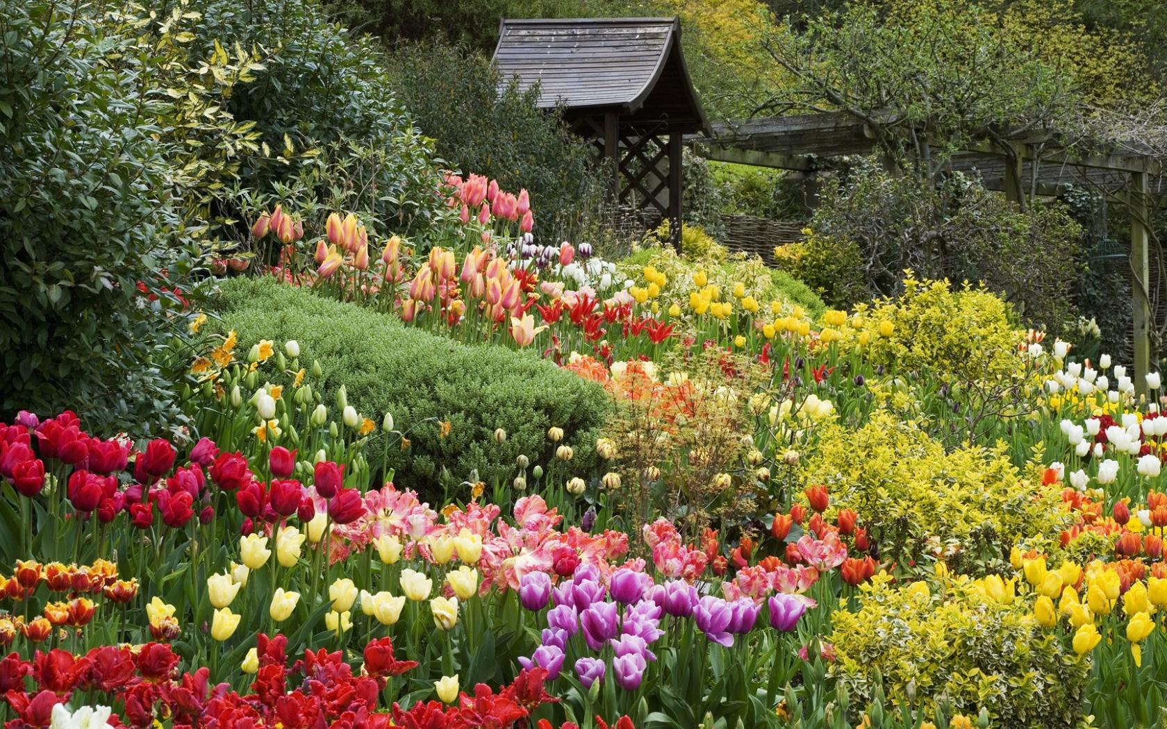 1680x1050 Free download 6 Rose Garden English Wallpaper with 1920x1080 Resolution [1920x1080] for your Desktop, Mobile & Tablet. Explore Rose Garden Wallpaper. Flower Garden Wallpaper for Desktop, Garden and
