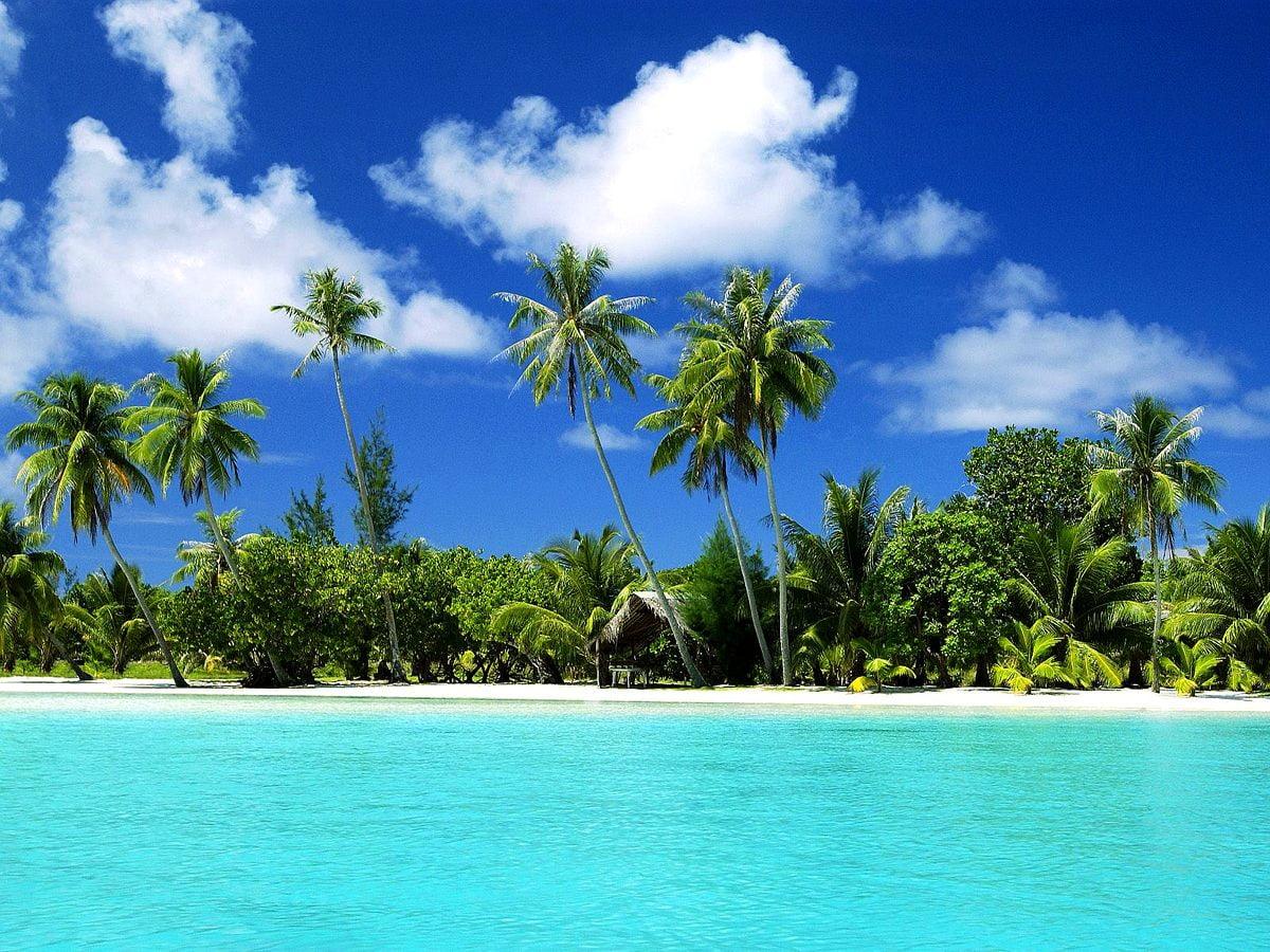 1200x900 Dominican Republic wallpaper HD. Download Free background