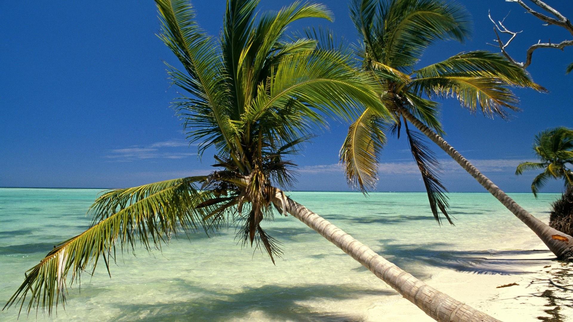 1920x1080 Dominican Republic Wallpaper in HD