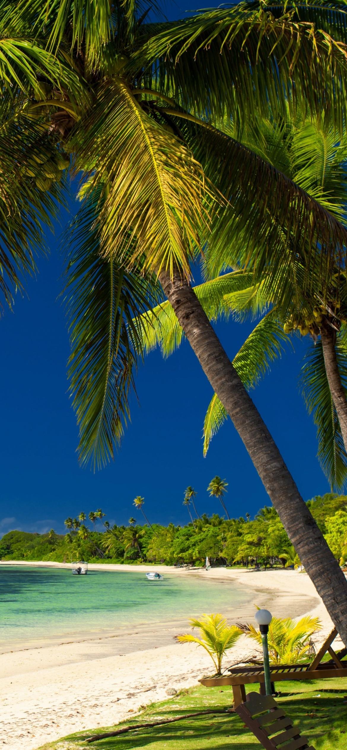 1170x2532 Paradise Coast Dominican Republic Wallpaper for iPhone 12 Pro
