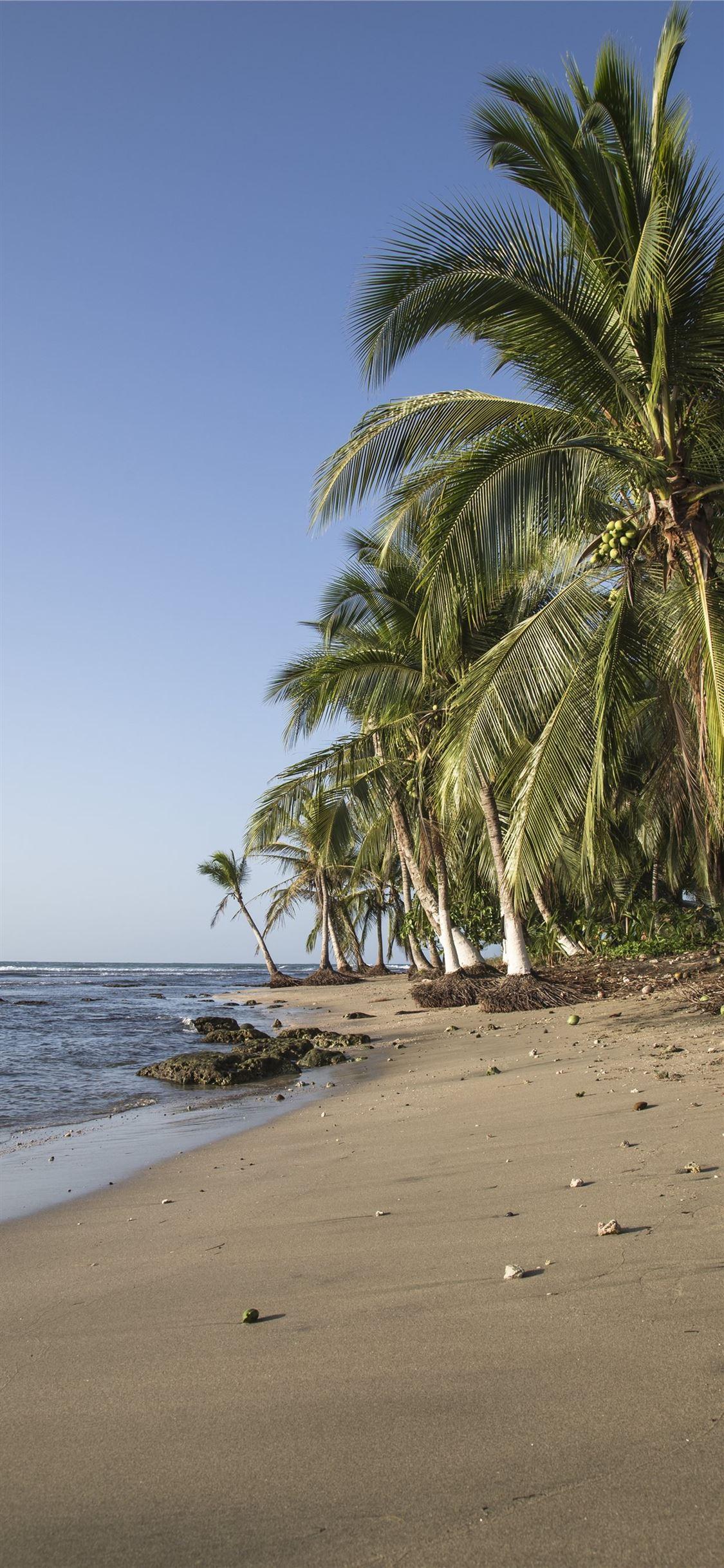 1125x2436 Dominican Republic iPhone X Wallpaper Free Download