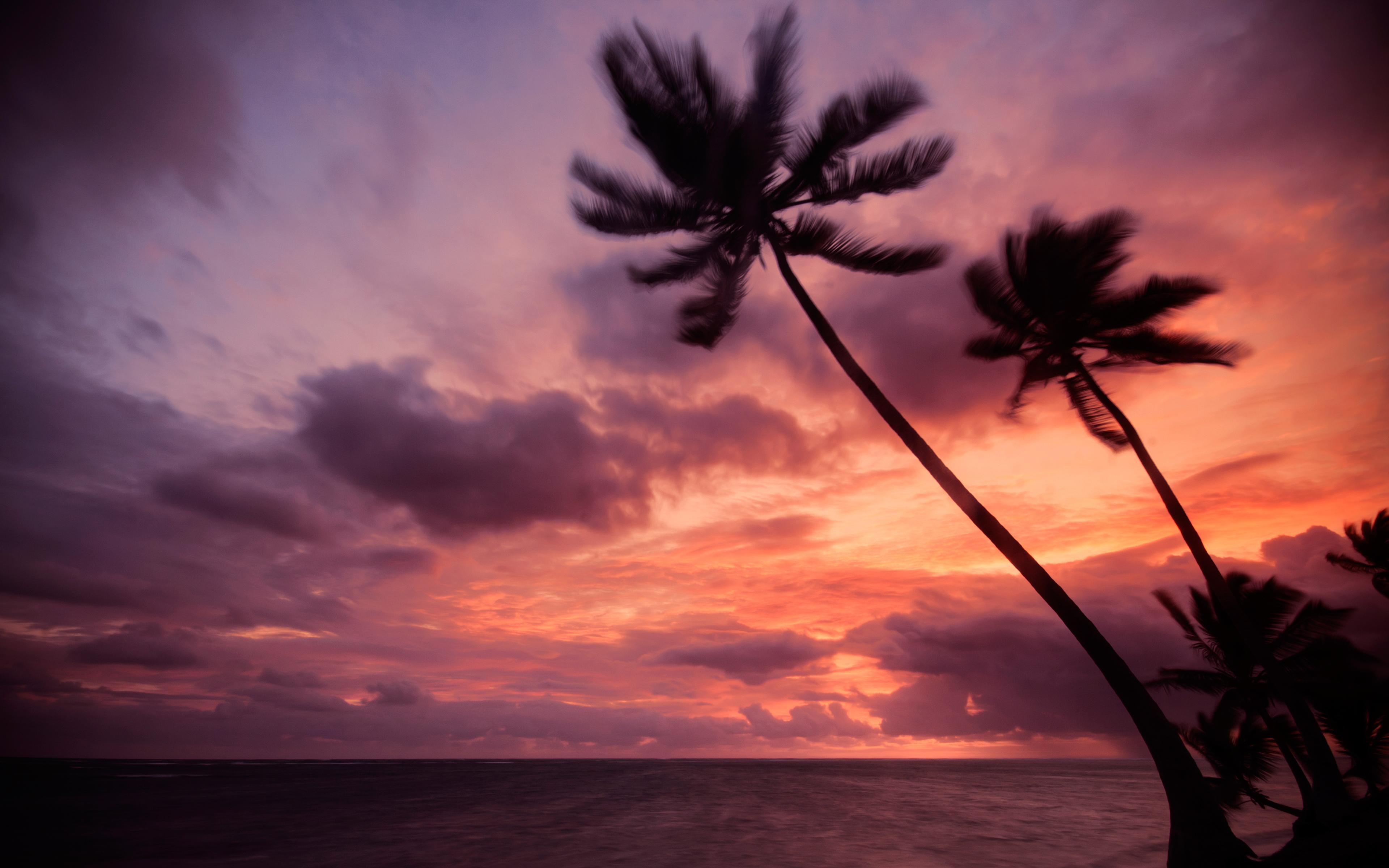 3840x2400 Free download Punta Cana area on the coast of the Dominican Republic [3840x2400] for your Desktop, Mobile & Tablet. Explore Punta Cana Wallpaper Desktop. Dominican Wallpaper, Dominican Republic Wallpaper