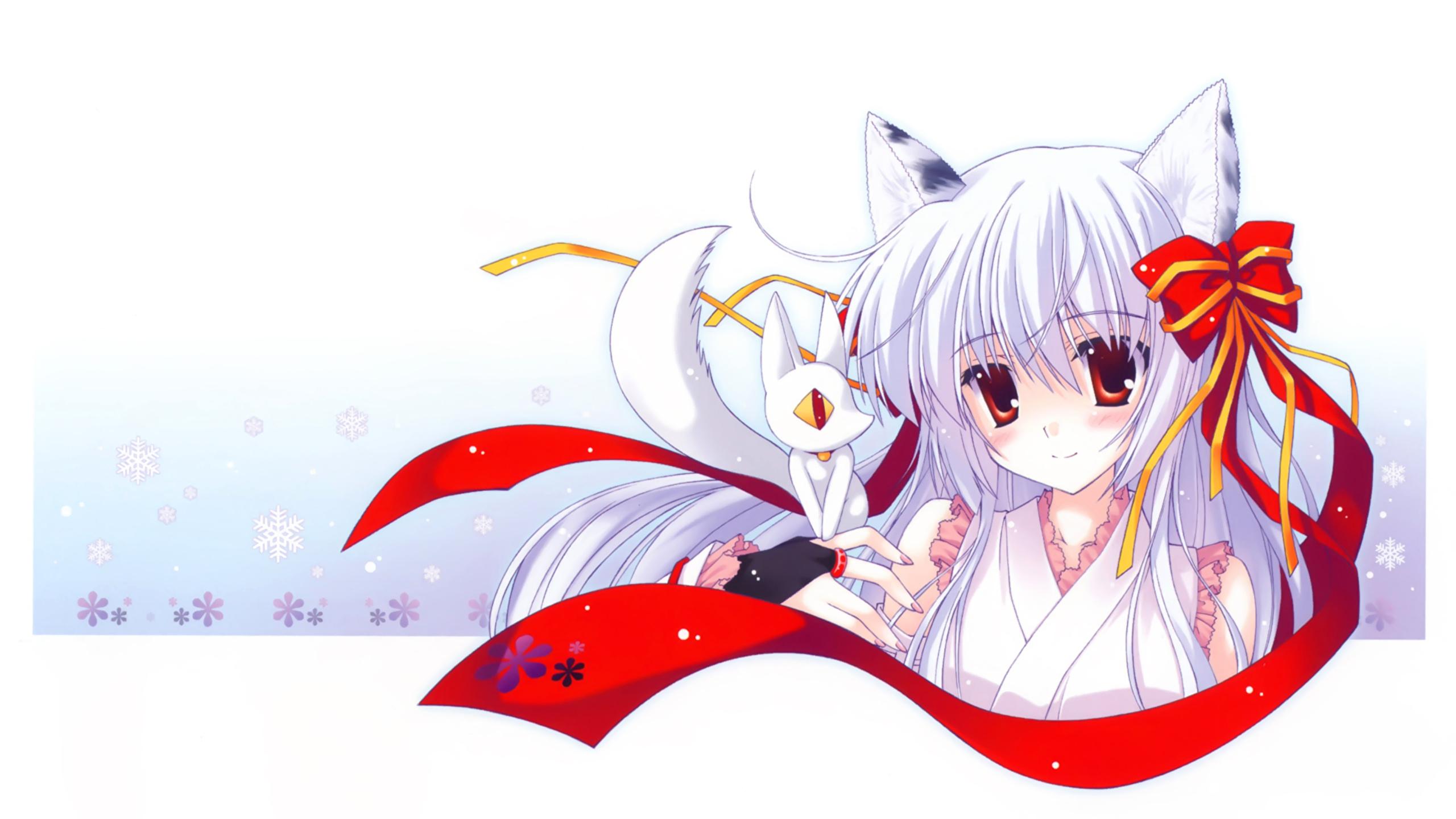 2560x1440 image fox girls Anime Girls 2560x1440