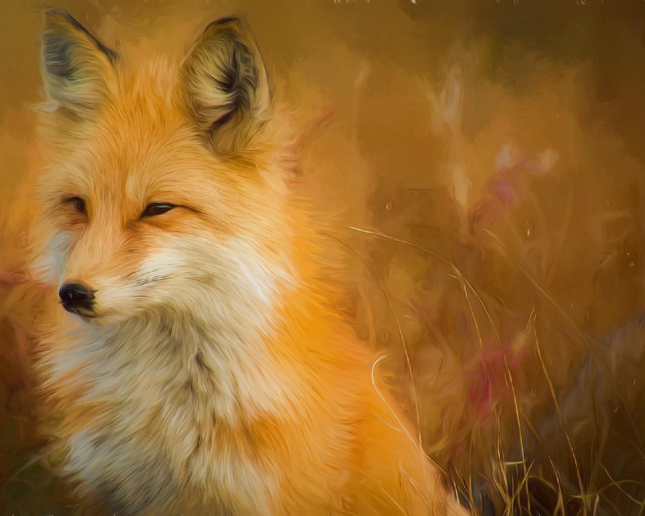 1280x1024 Fox Anime Wallpaper for Android