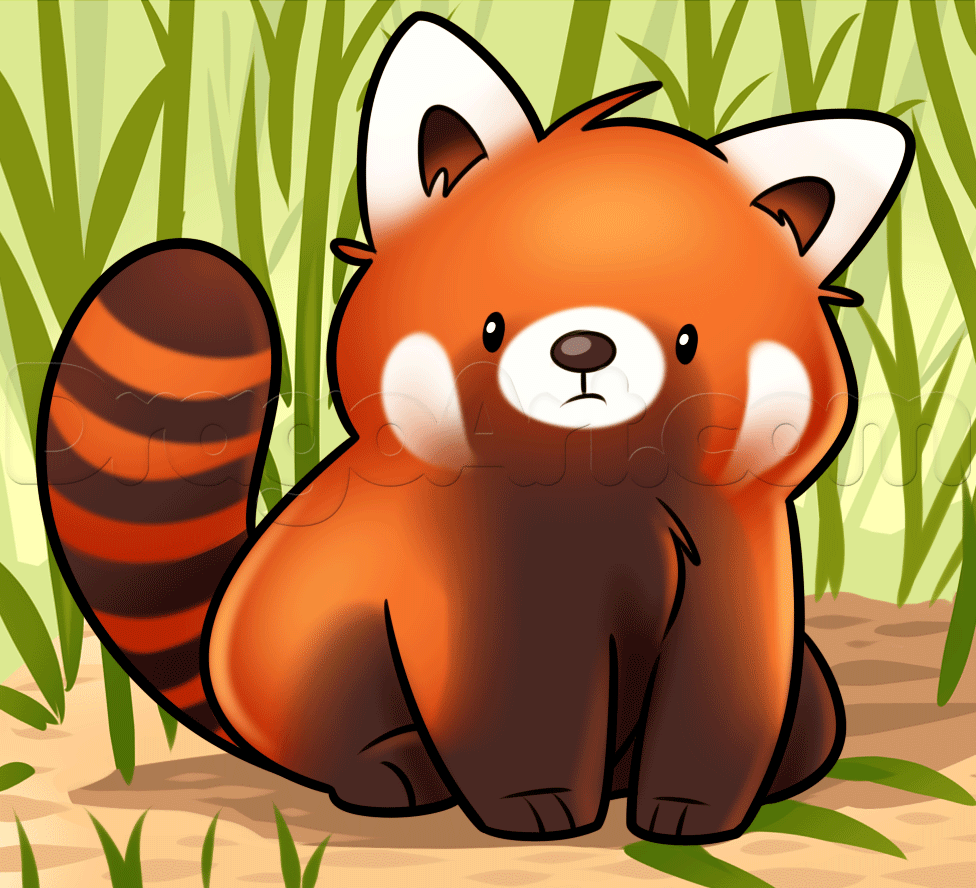 Red Panda Kawaii Wallpapers Top Free Red Panda Kawaii Backgrounds Wallpaperaccess