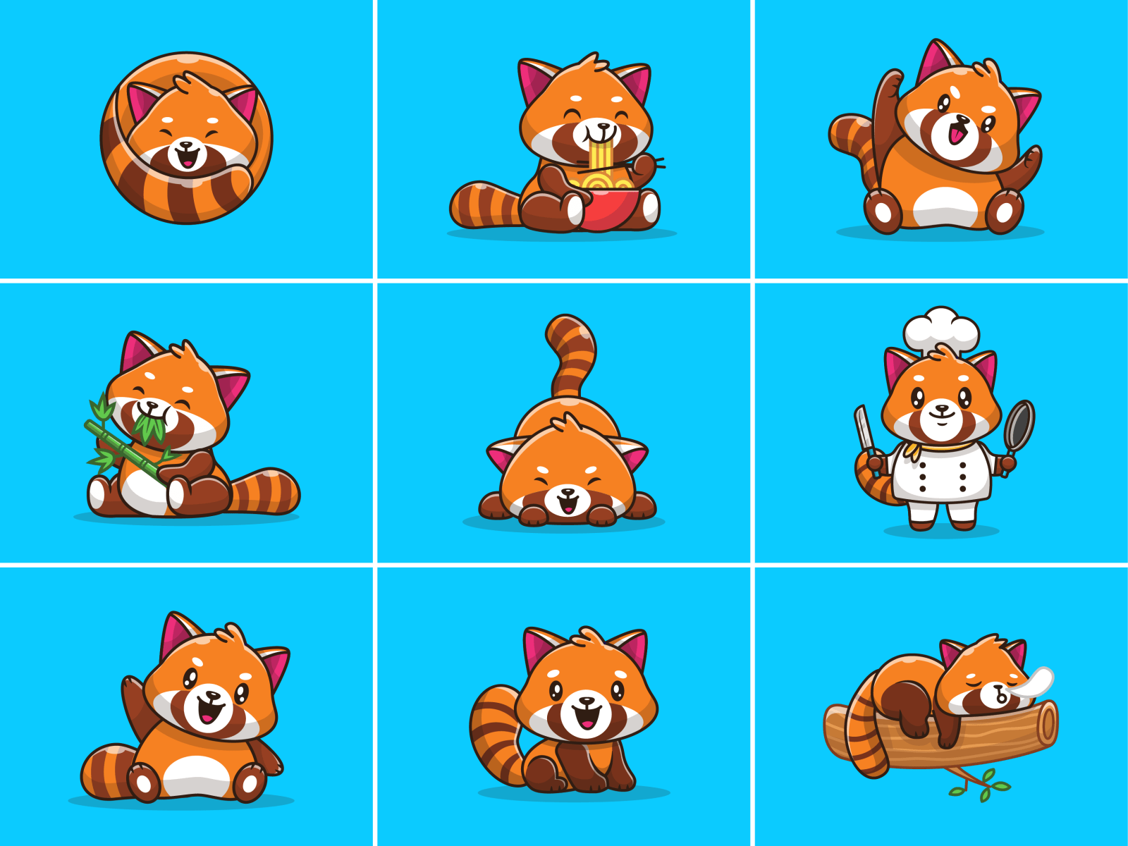 1600x1200 red panda