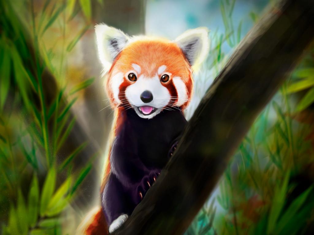 1024x768 Apofiss Panda