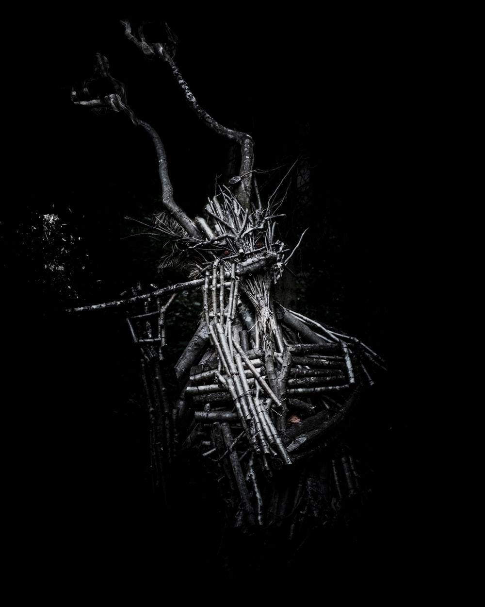 1000x1250 Mystery Picture. Download Free Image