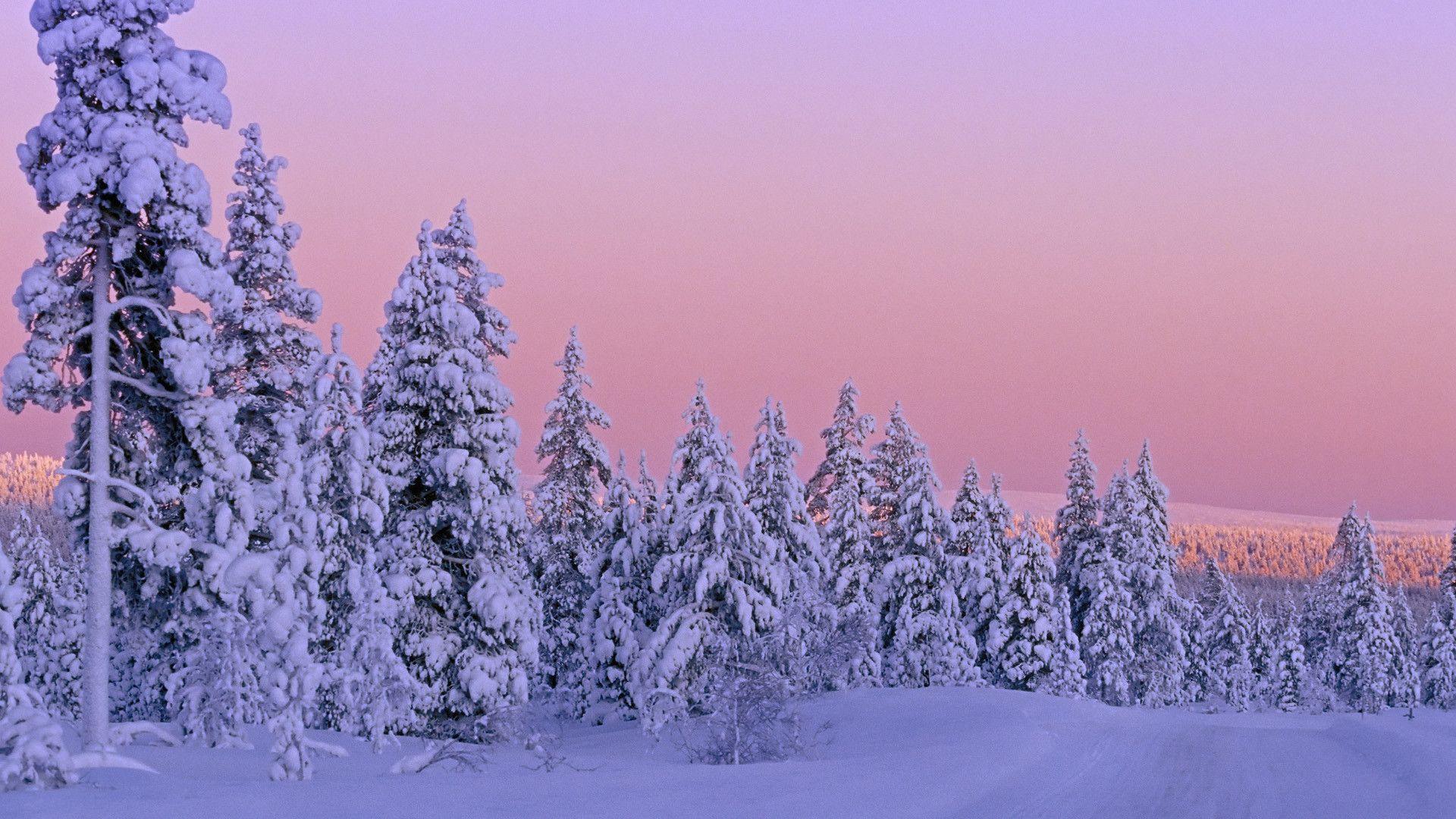 1920x1080 Free download Pretty Computer Background [1920x1080] for your Desktop, Mobile & Tablet. Explore Pretty Background For Desktop. Pretty Wallpaper For Computers