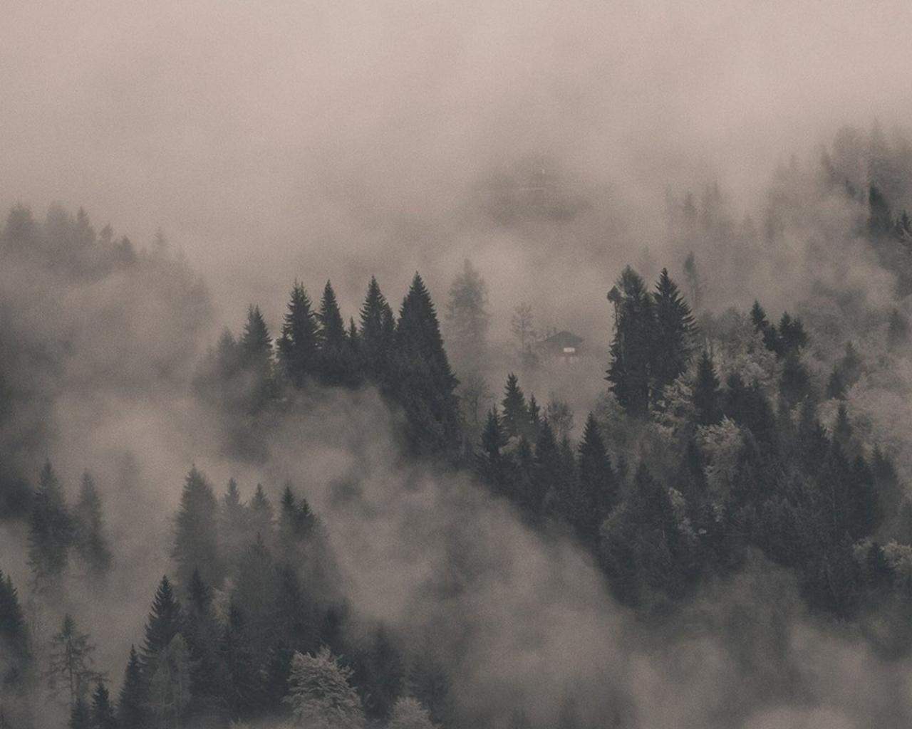 1280x1024 Free download Foggy Forest Wallpaper Flip Wallpaper Download Wallpaper HD [1920x1080] for your Desktop, Mobile & Tablet. Explore Foggy Forest Wallpaper. Foggy Forest Wallpaper, Foggy Forest Wallpaper, Foggy Forest iPhone Wallpaper
