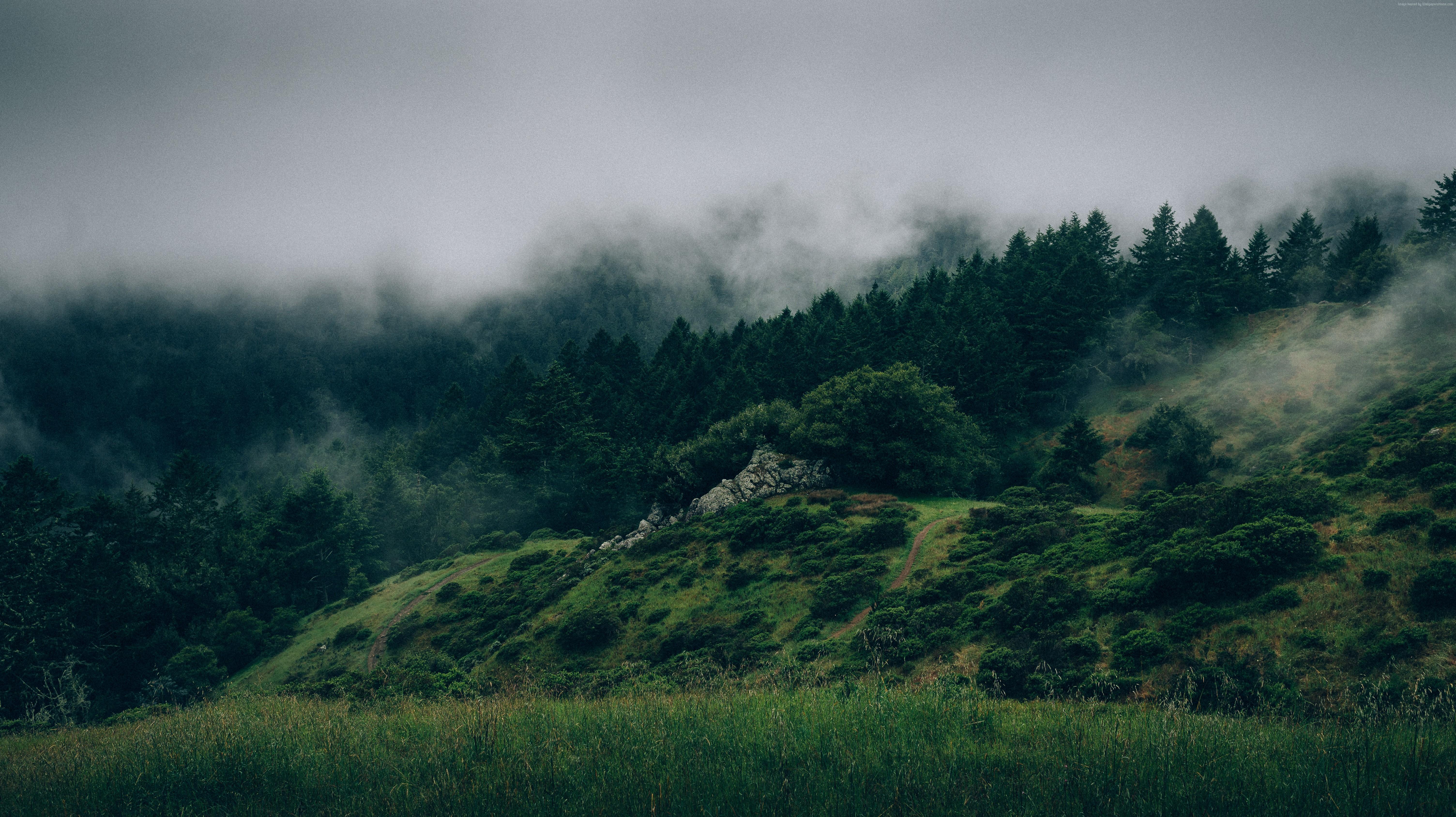 6016x3376 #mist, k wallpaper, k, #hills, #Forest, #fog, k. Mocah HD Wallpaper